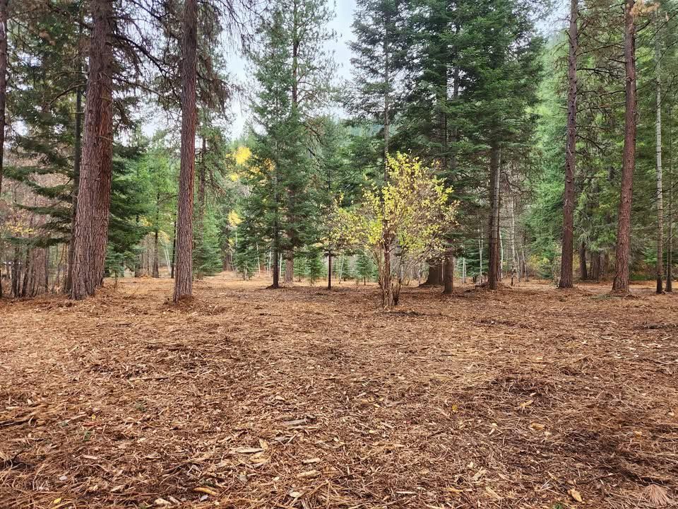 for Perez Excavation LLC in Monitor, WA