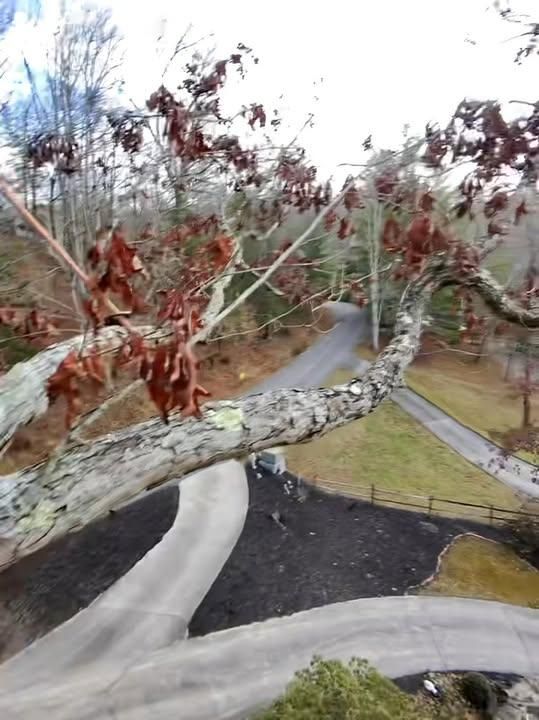 All Photos for Complete Care in Cumberland Gap, TN