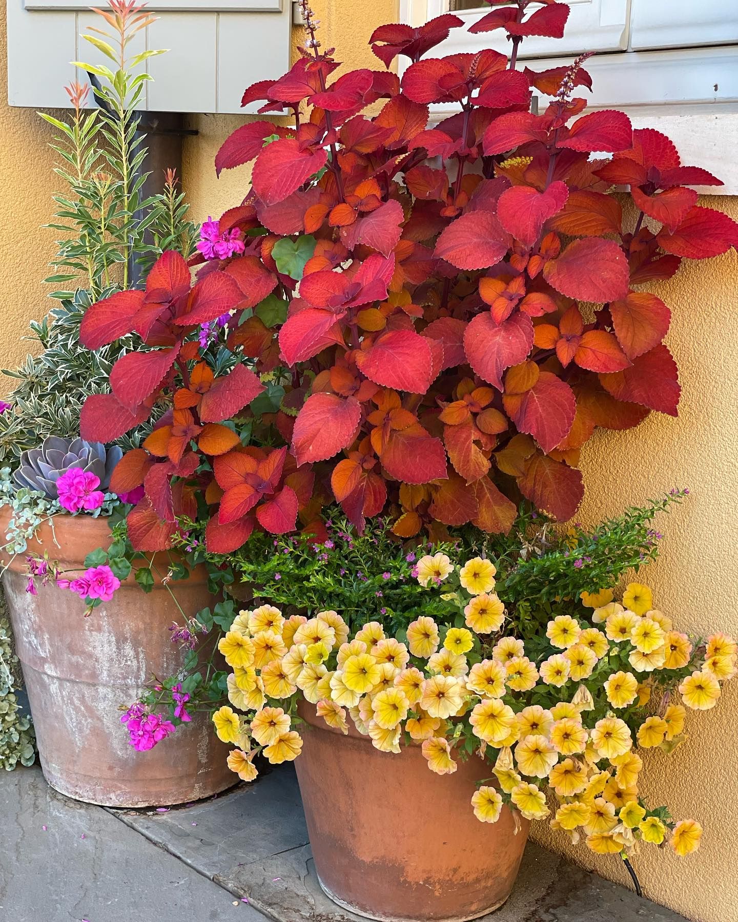  for Courtney Lewis Landscape Design in Portland, OR