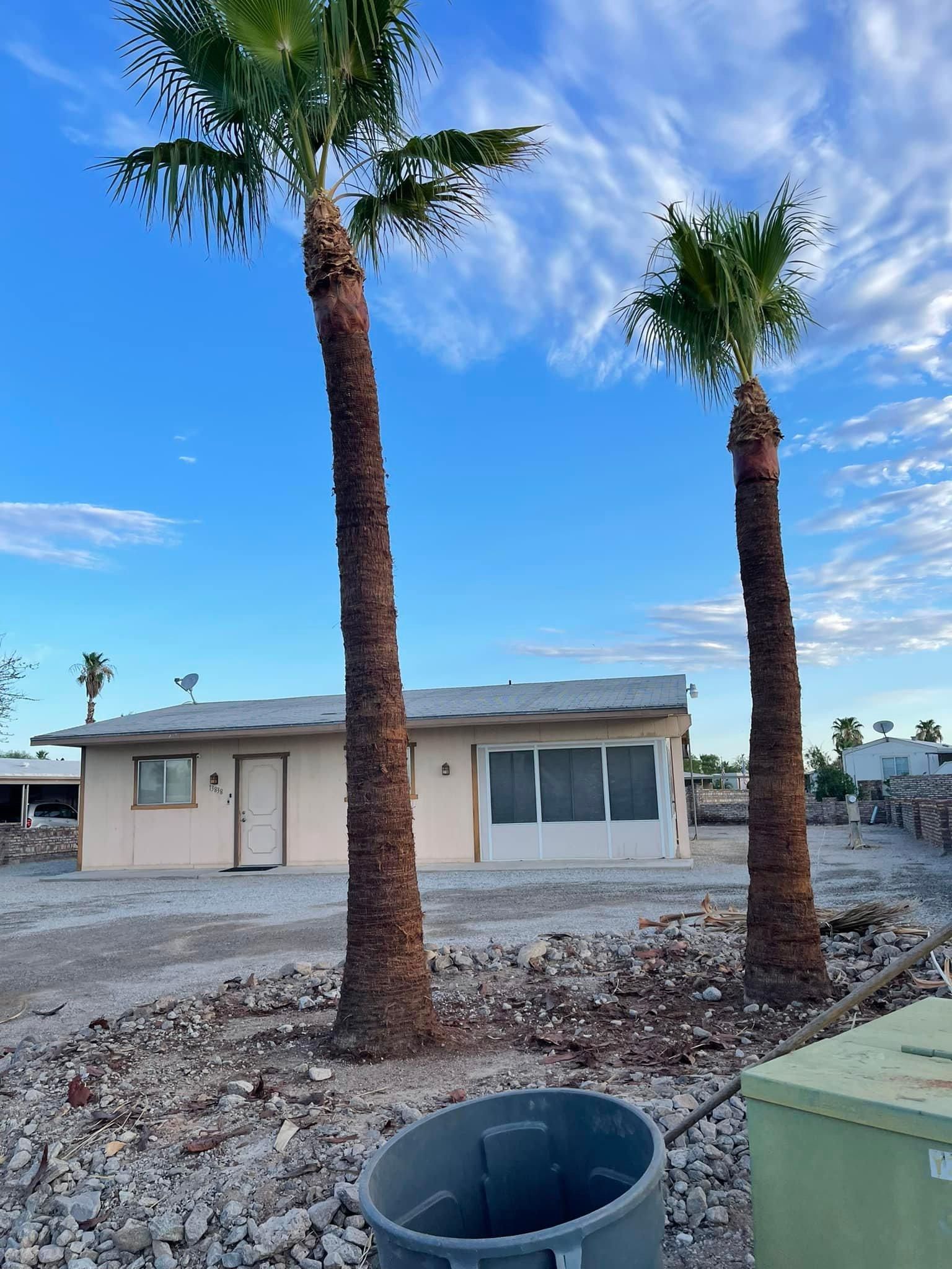  for Oliver L. Palm & Tree services in Yuma County, AZ