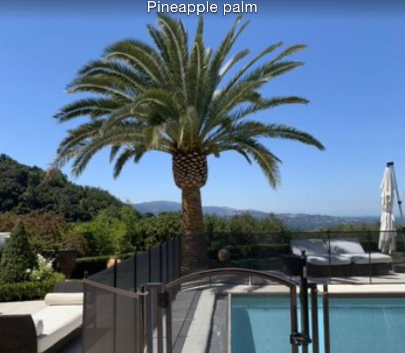  for A1 Tree Care in San Jose, CA