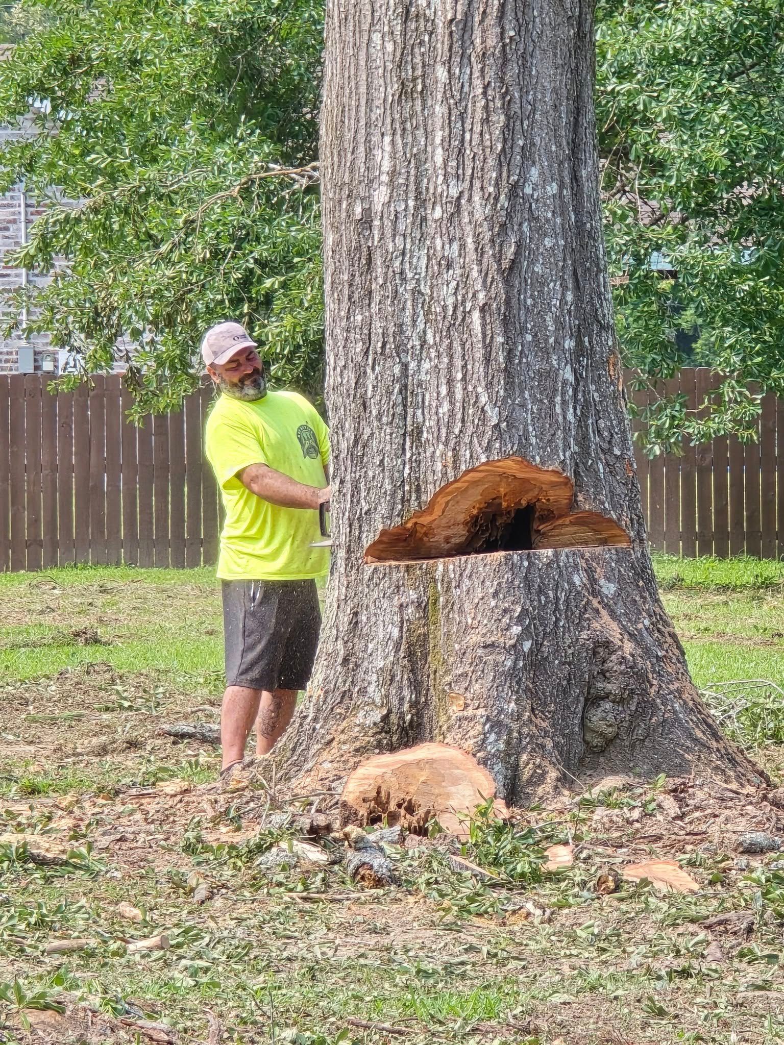  for Breaktime Tree Trimming & Removal in Oakdale, LA