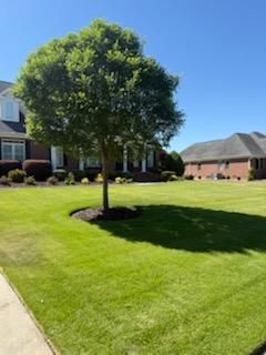  for Turf's Up!  in Lumberton, NC
