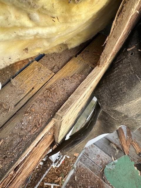 All Photos for Carolina Odd Jobs Inc. in Sneads Ferry, NC