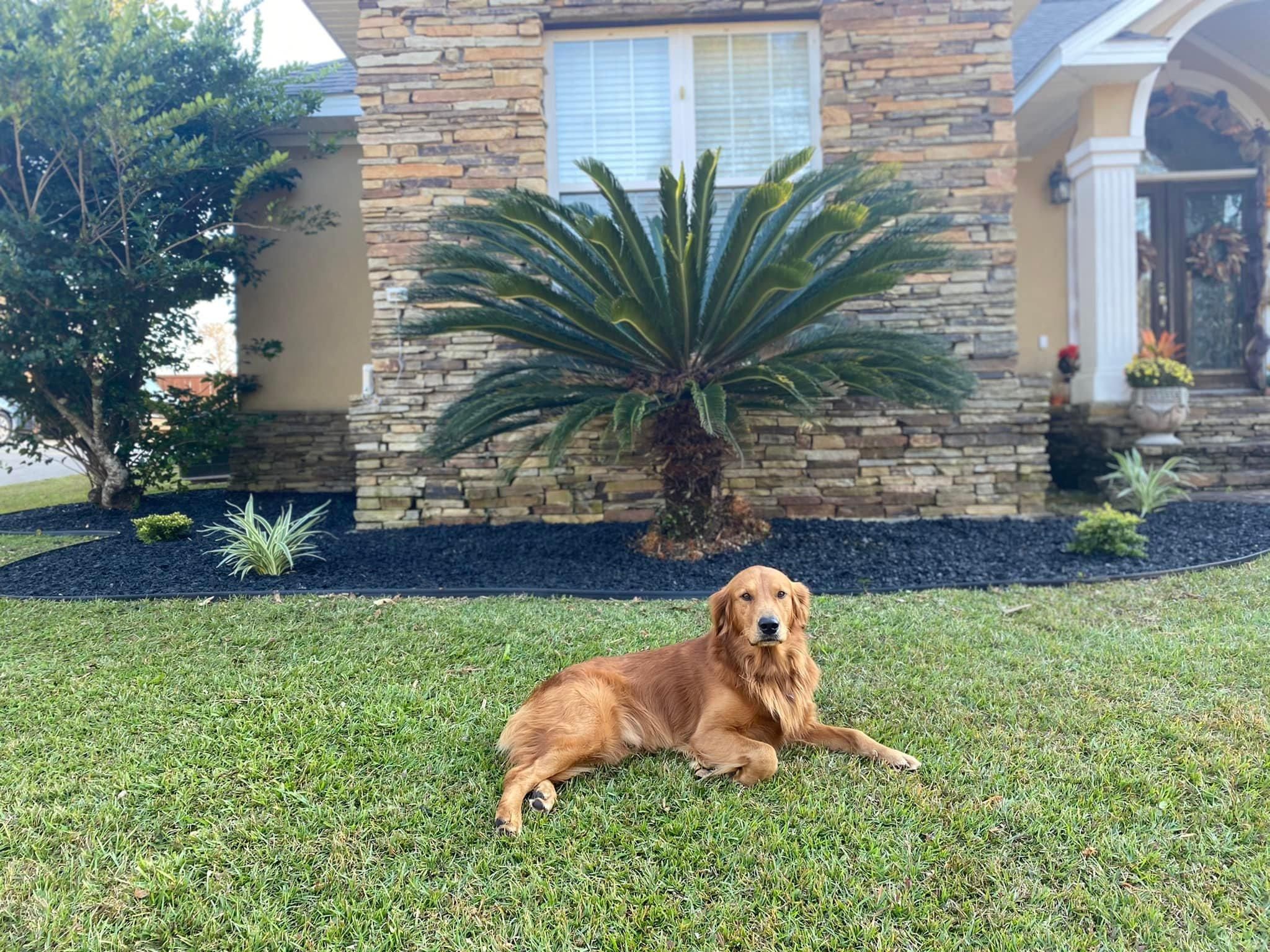  for All-Star Lawn Care & Soft Washing in Mobile, AL