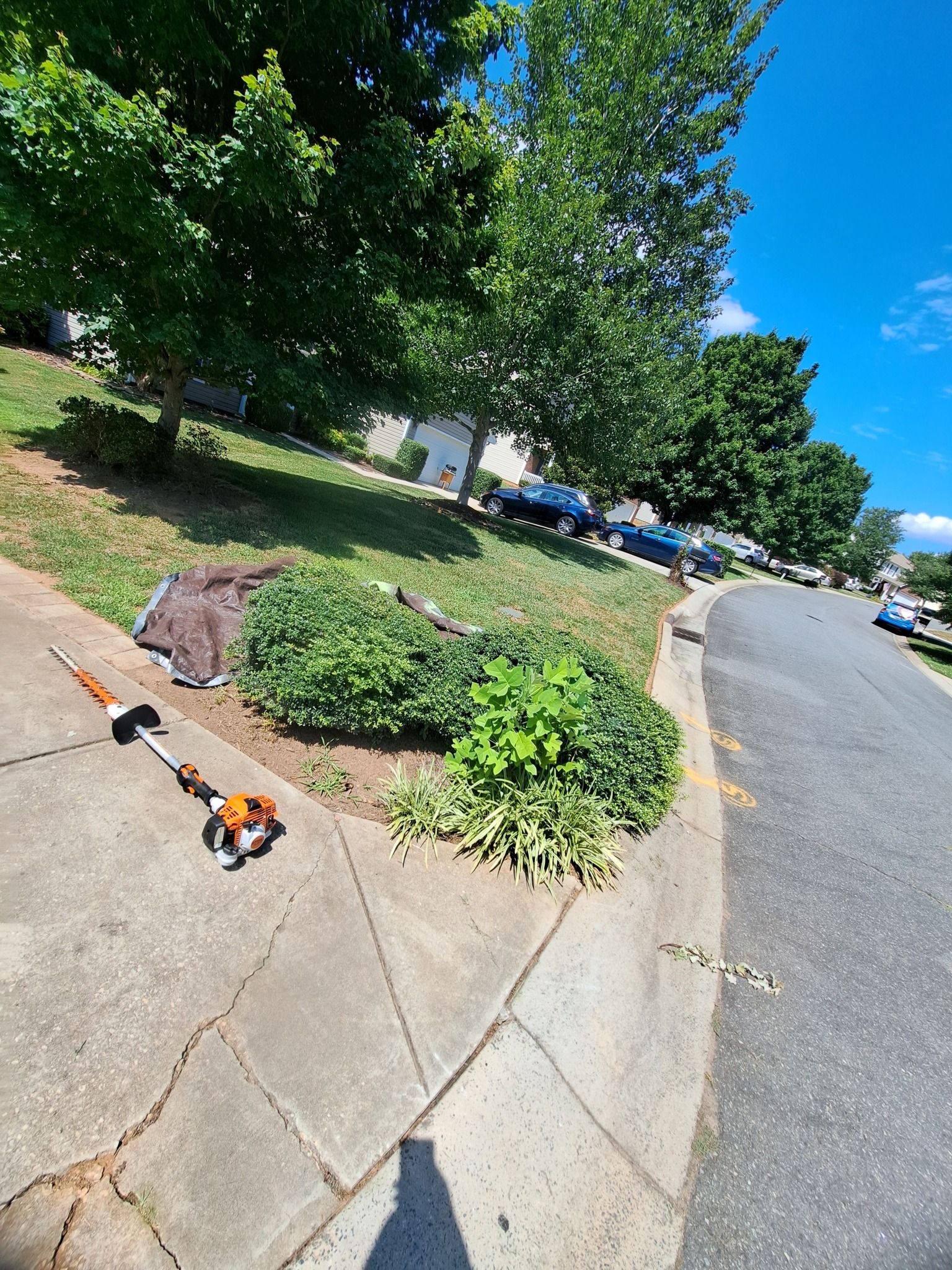 Lawn Care for Dee's Lawn Care Services in Lake Wylie, SC