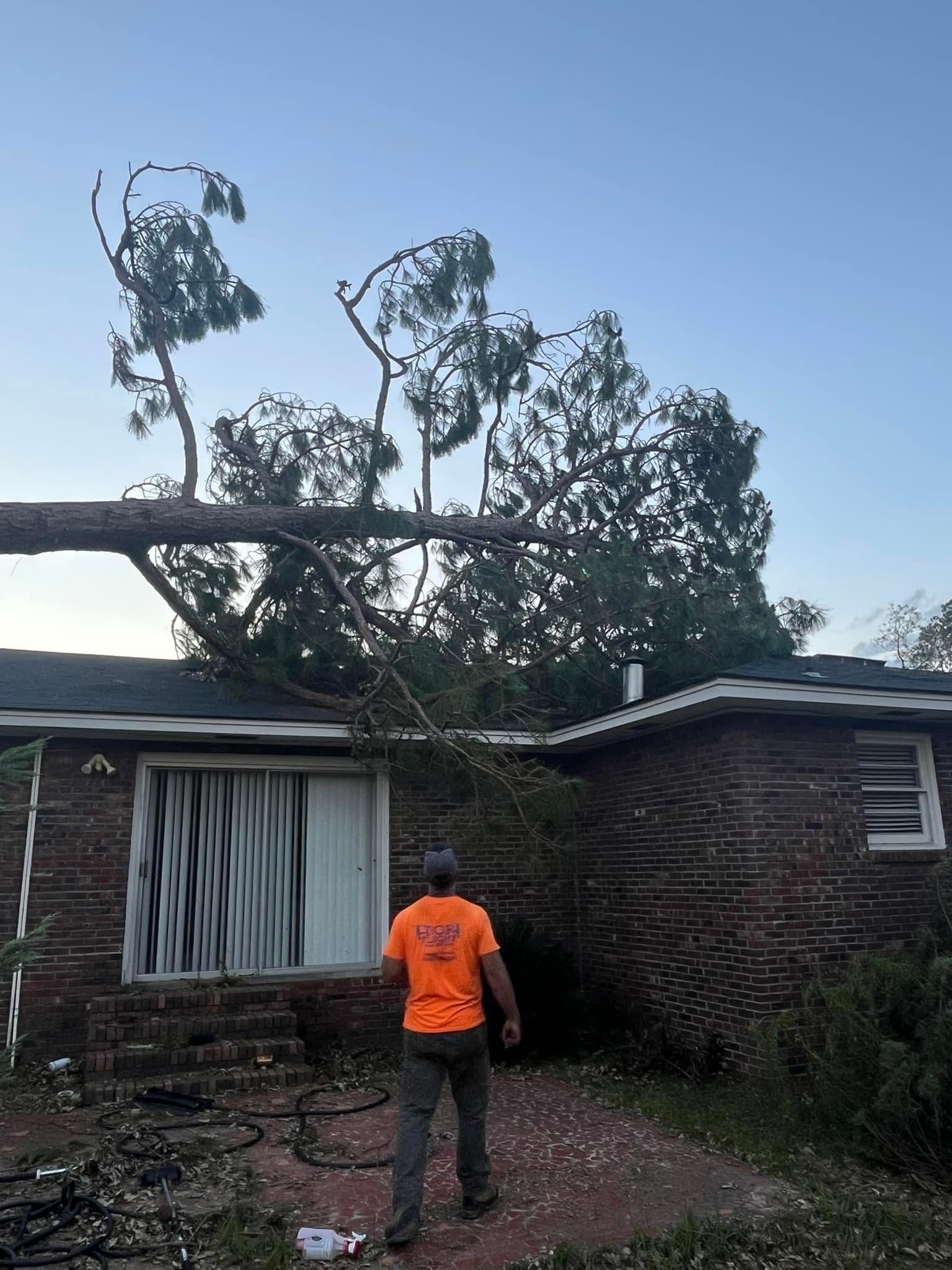  for A&A Property Maintenance in Jacksonville, NC