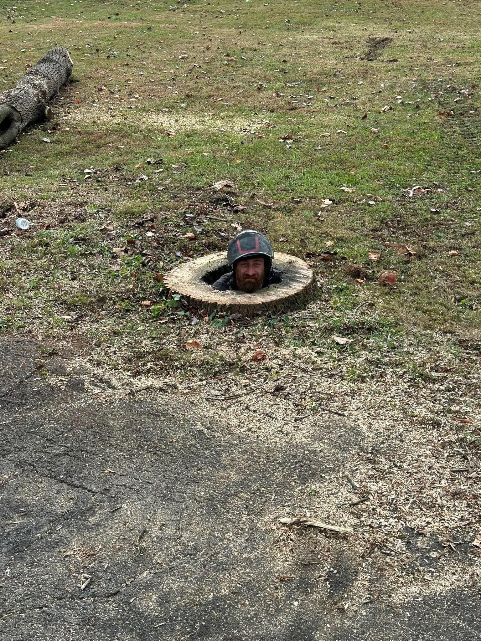  for Brocks Tree Service LLC in Rogersville, TN