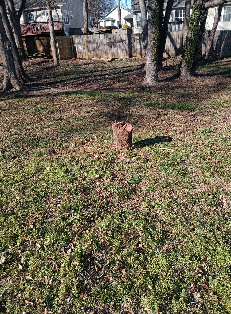  for Lindsey's Lawn Care in Inman, SC