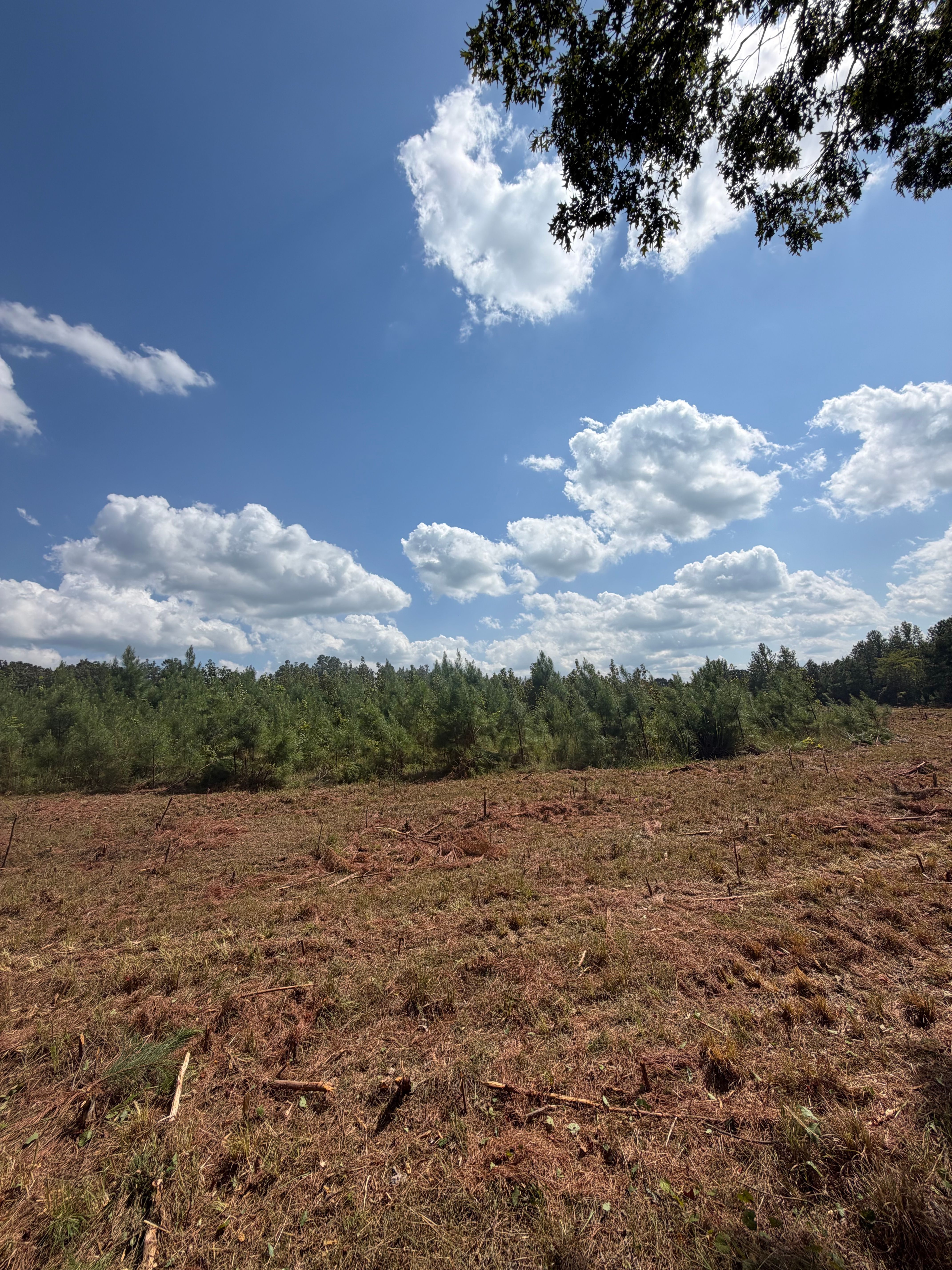  for Ross Excavation & Land Development in Middleton, TN