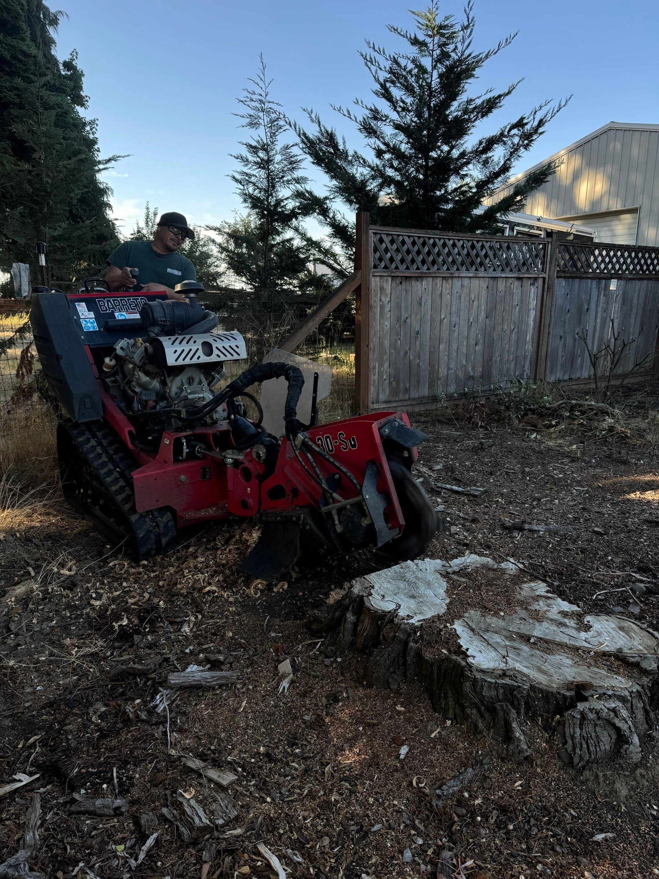  for Willamette Landscaping and Tree Services in Albany, OR