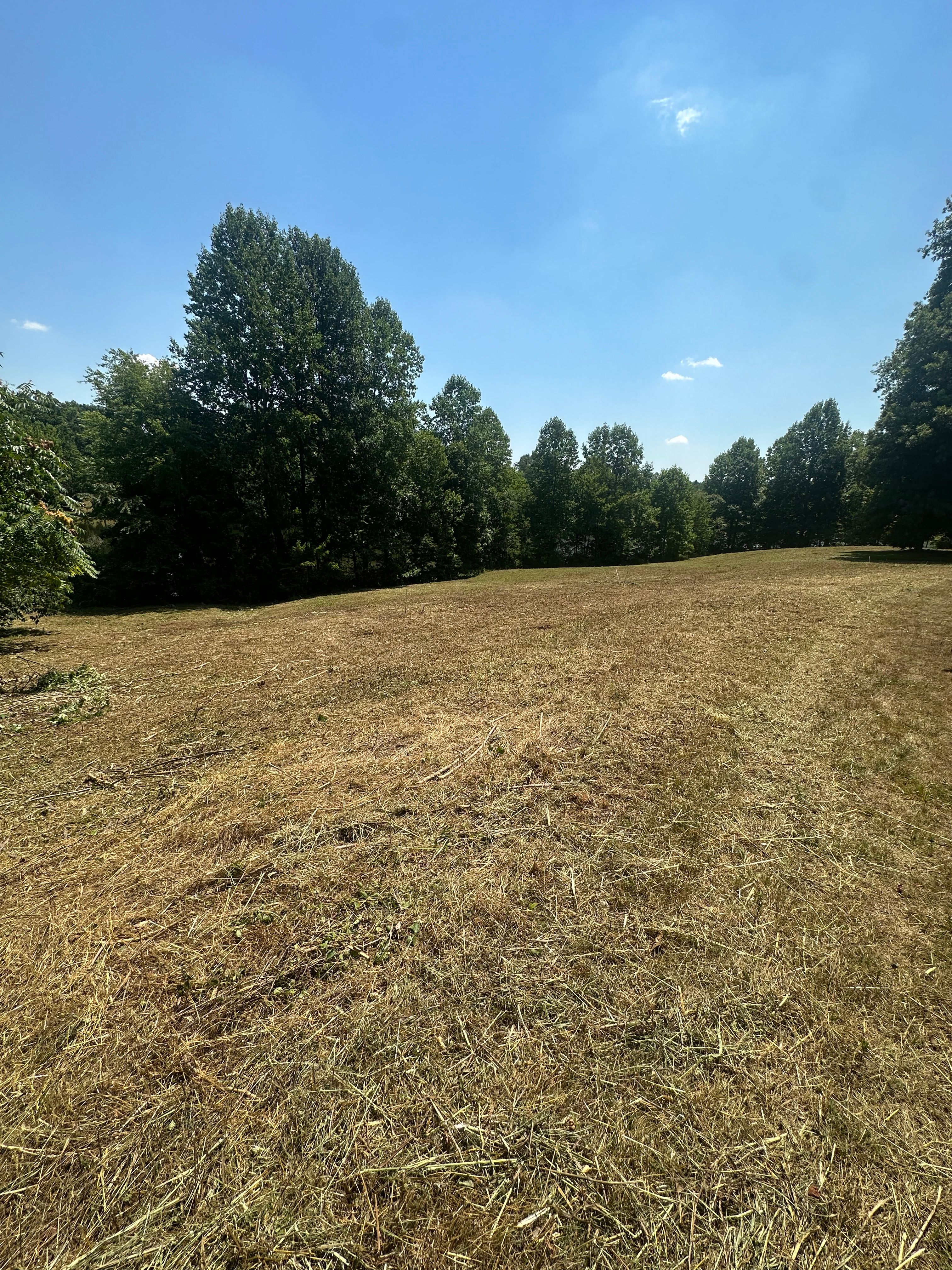 All Photos for Kyle's Lawn Care in Kernersville, NC