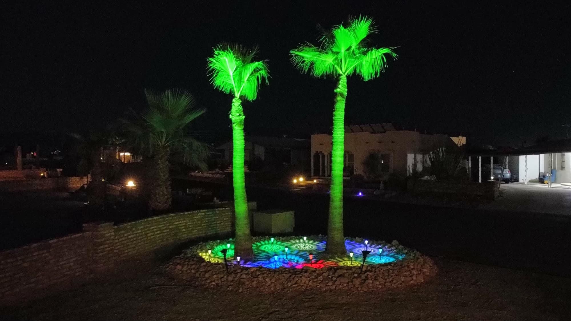  for Oliver L. Palm & Tree services in Yuma County, AZ