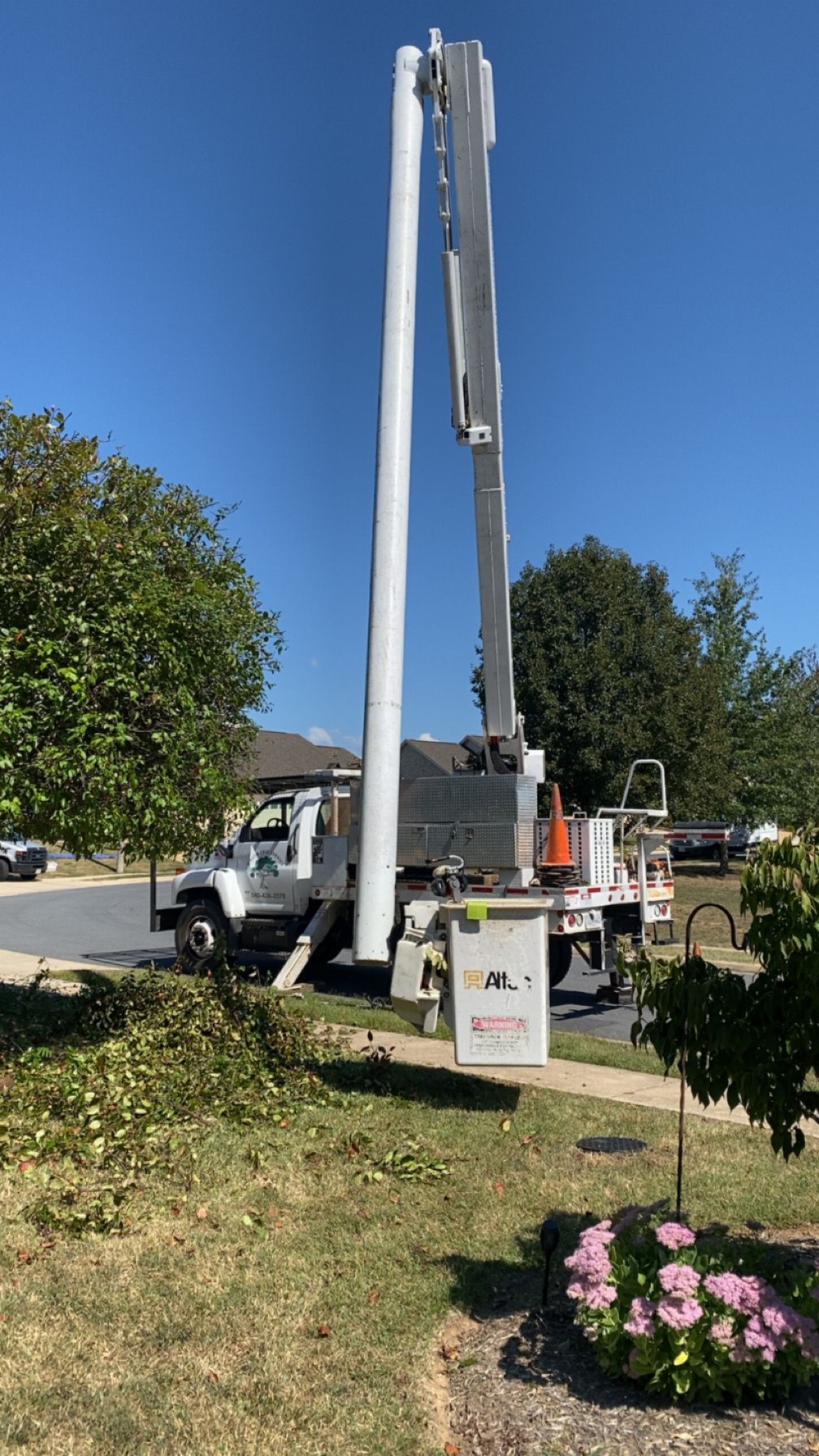 All Photos for Gray's Tree Service Inc in Maurertown, VA