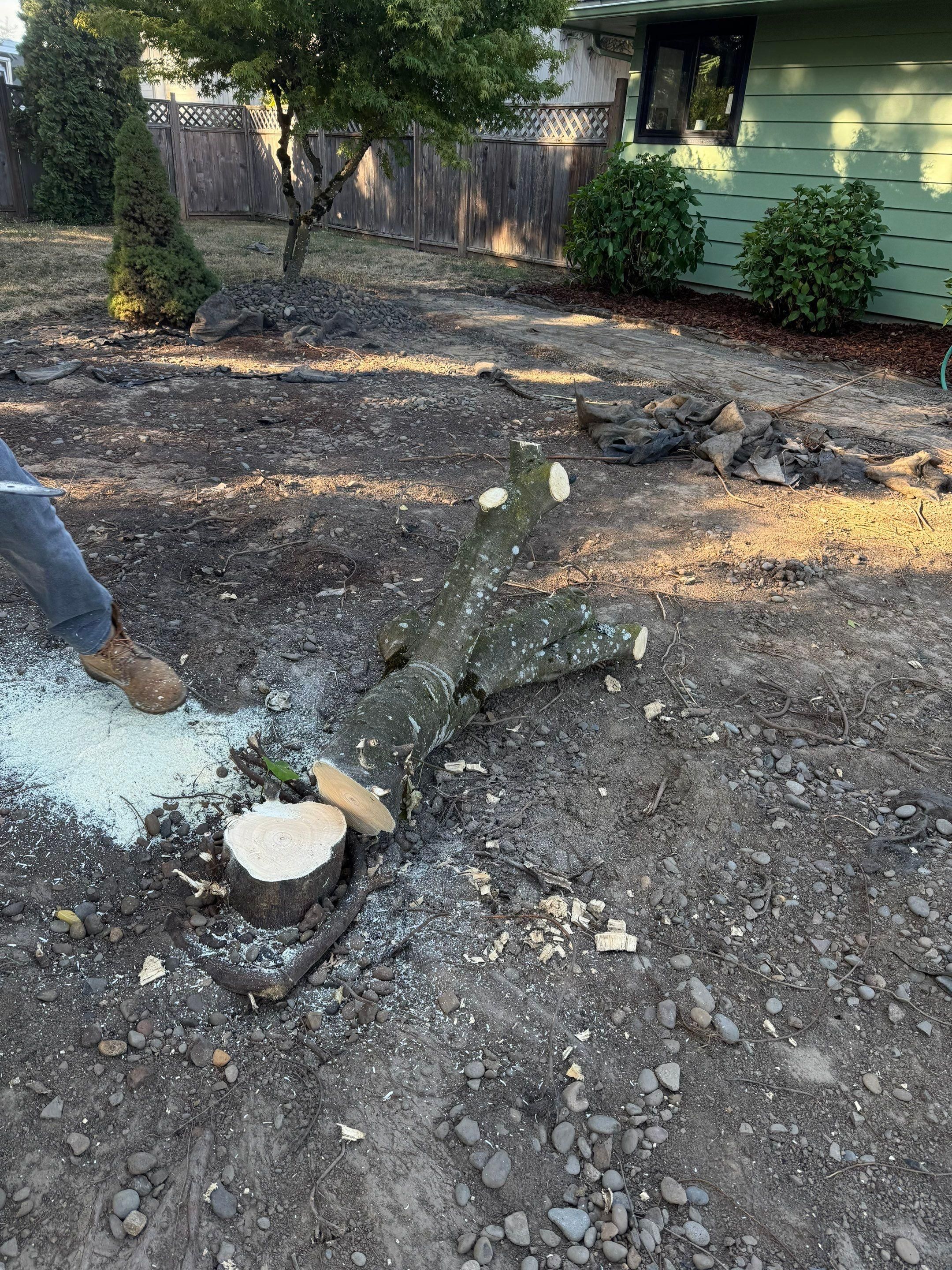  for Willamette Landscaping and Tree Services in Albany, OR