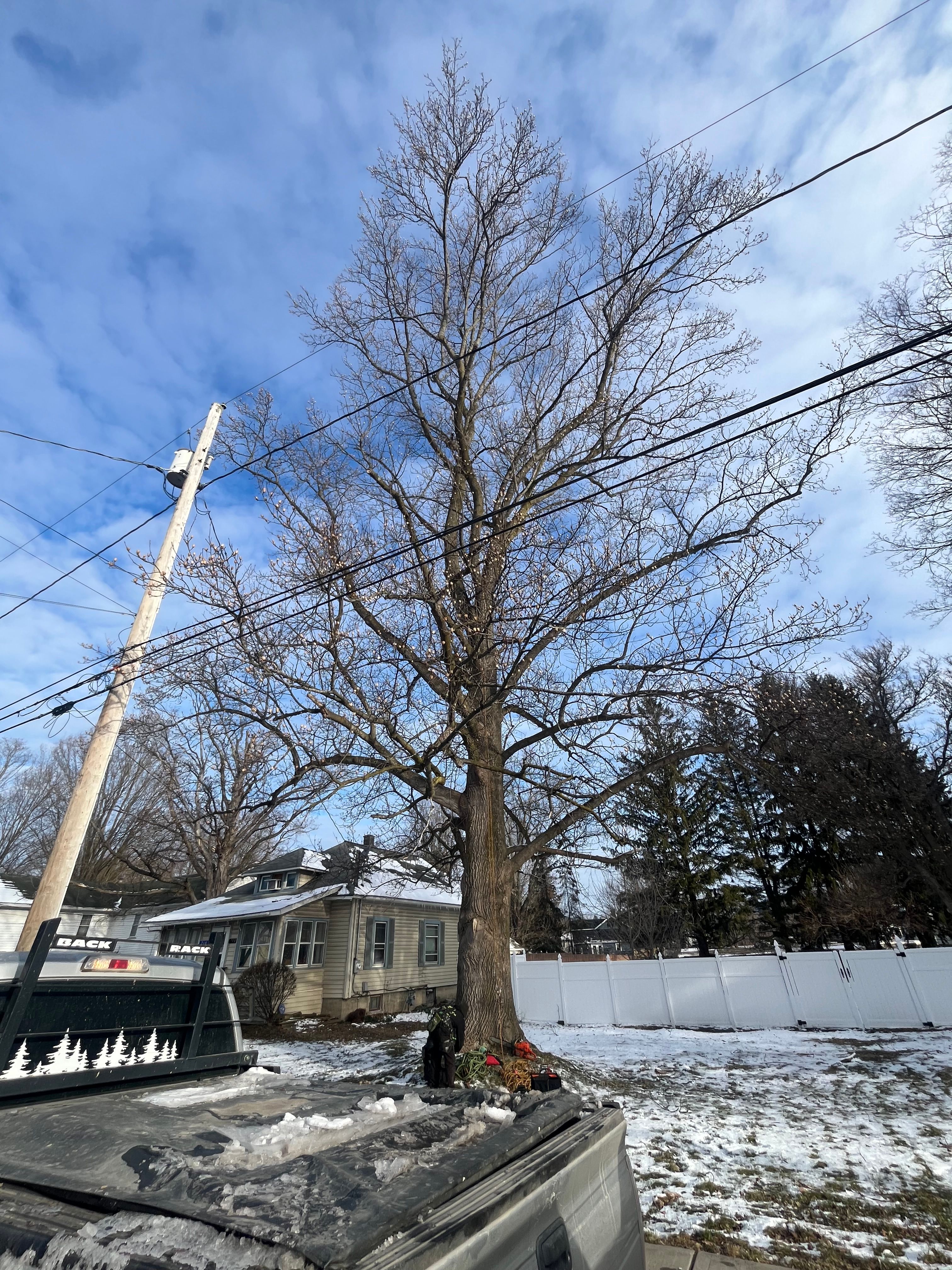All Photos for Licensed to Cut Tree Service in Athens, PA