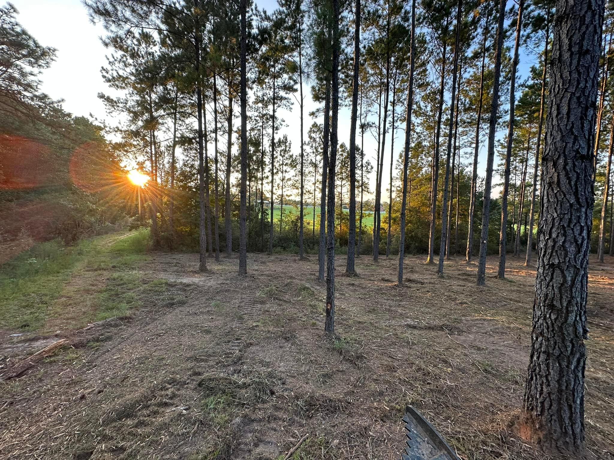 All Photos for White’s Land Maintenance in Milton,, FL