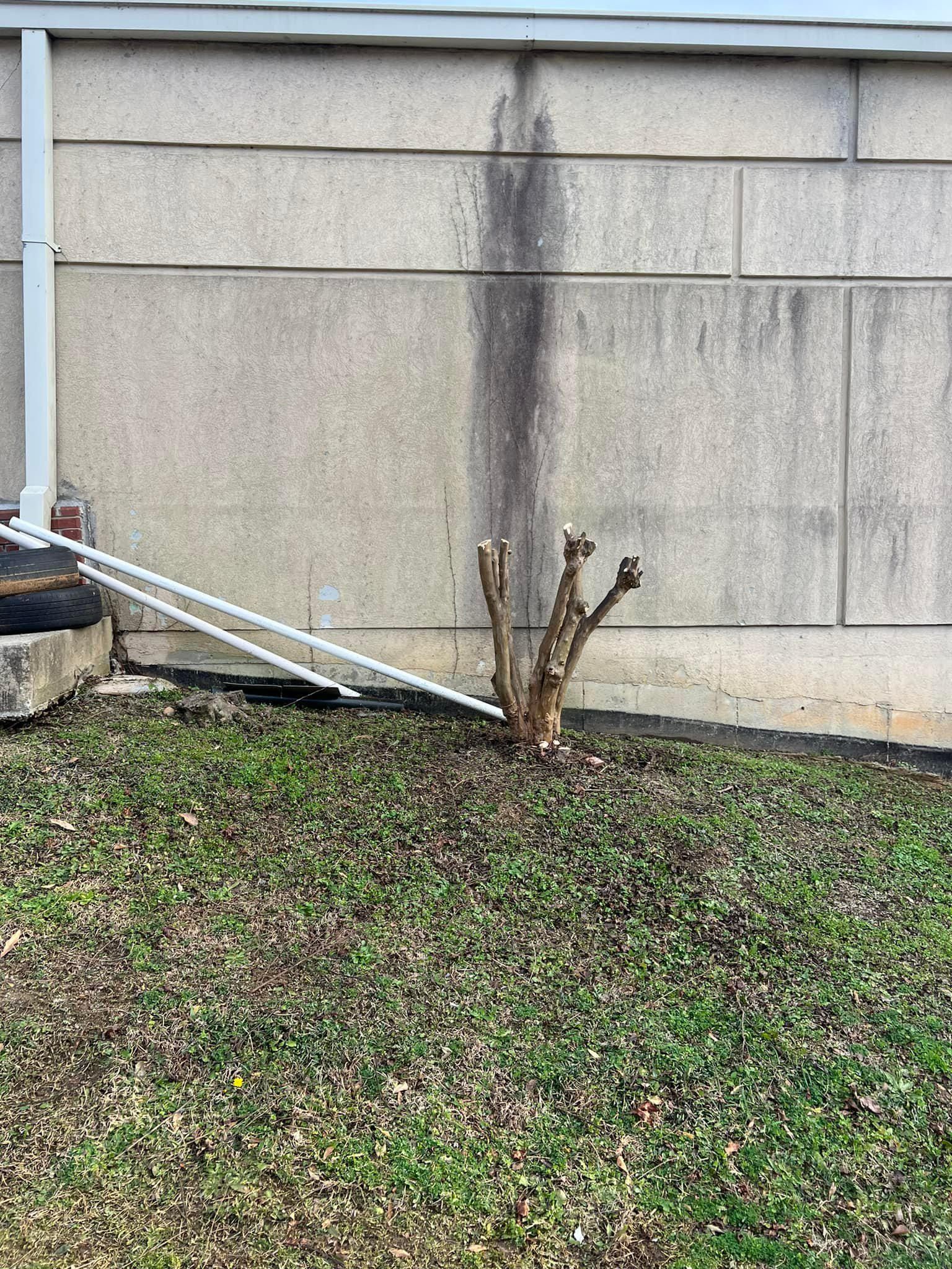  for Shang's Landscaping Service in Columbia, South Carolina