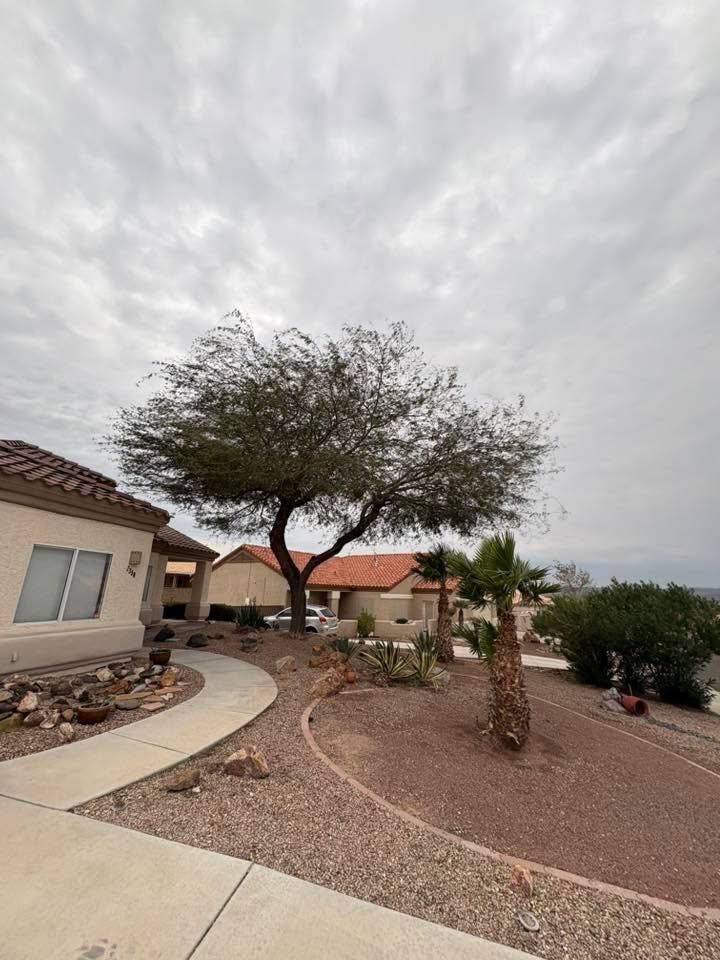  for Top Notch Landscape Services LLC in Mohave Valley, AZ