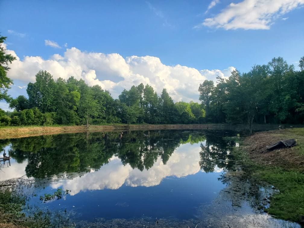 All Photos for TJ Farm and Land Management in Loris, SC