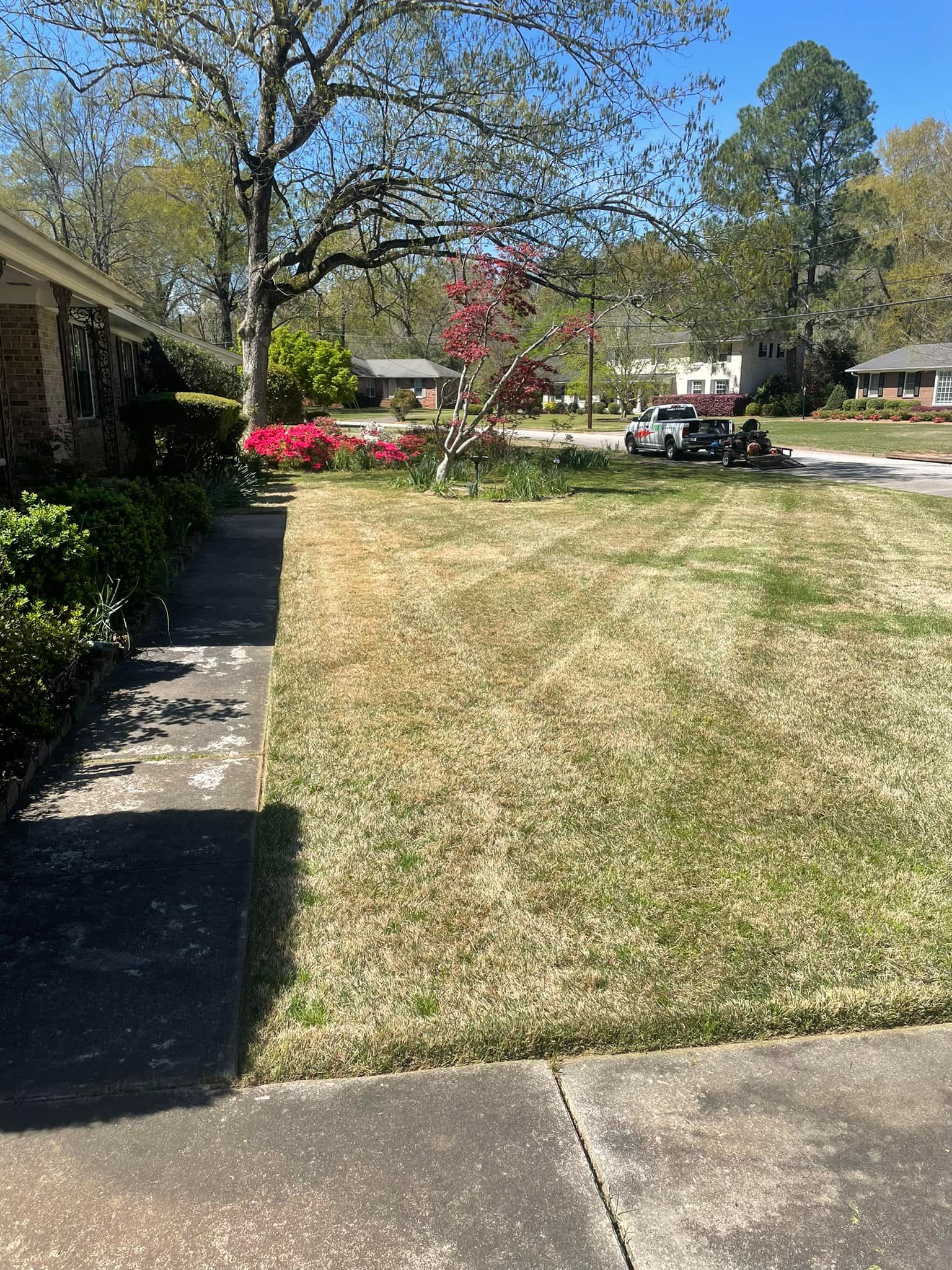Landscaping for Sparks Landscaping in Augusta, GA