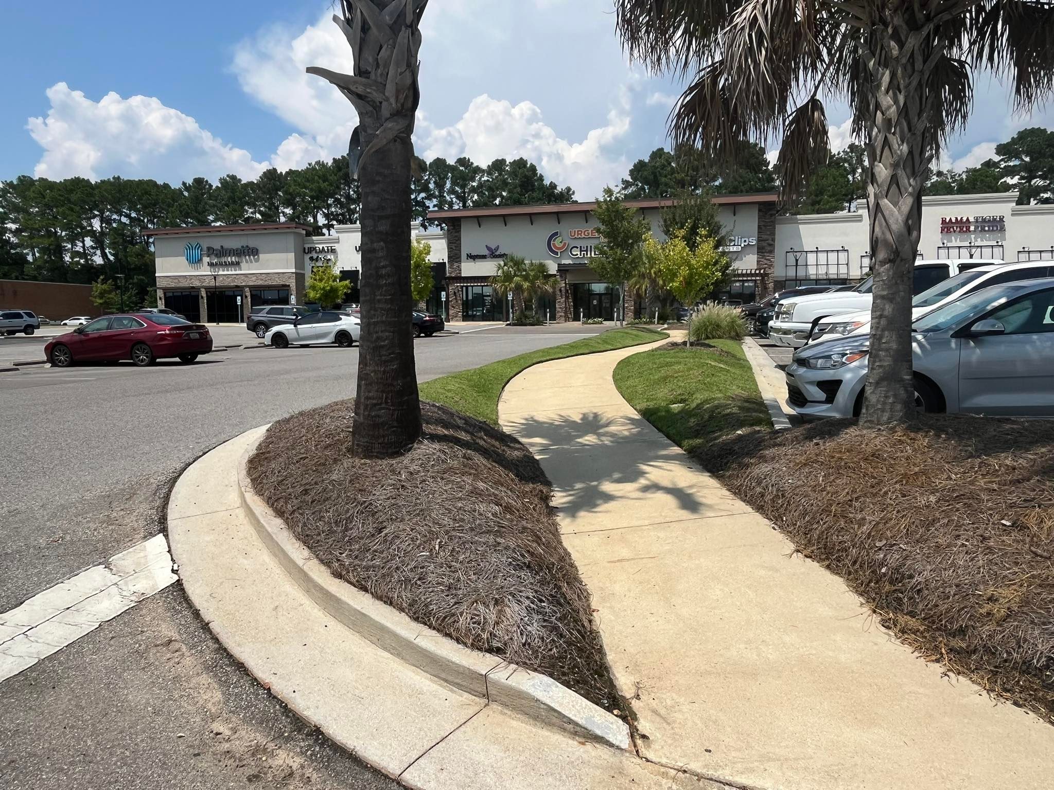  for All-Star Lawn Care & Soft Washing in Mobile, AL