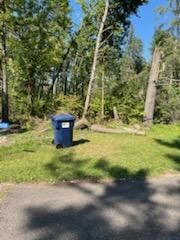  for Dan's Tree Service LLC in Bemidji, MN