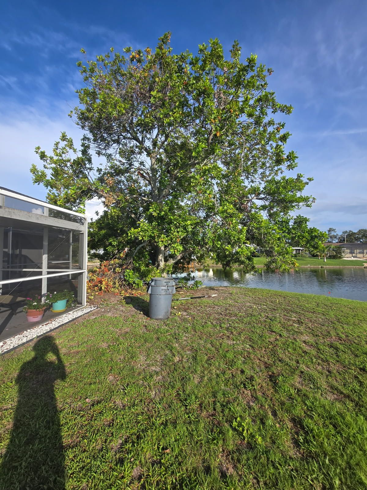 Tree Removal for TREE BOYS in Ruskin, FL