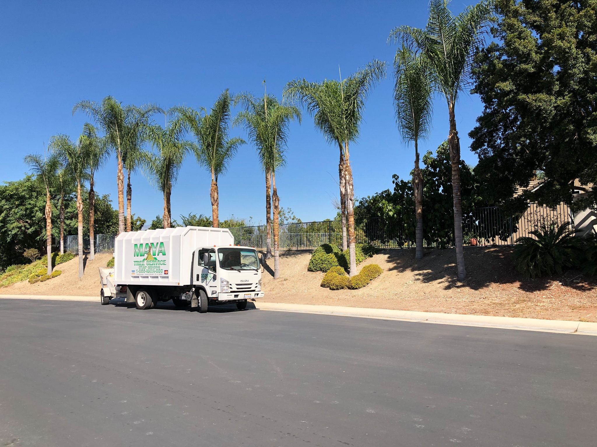  for Maya Tree Service in La Puente, CA