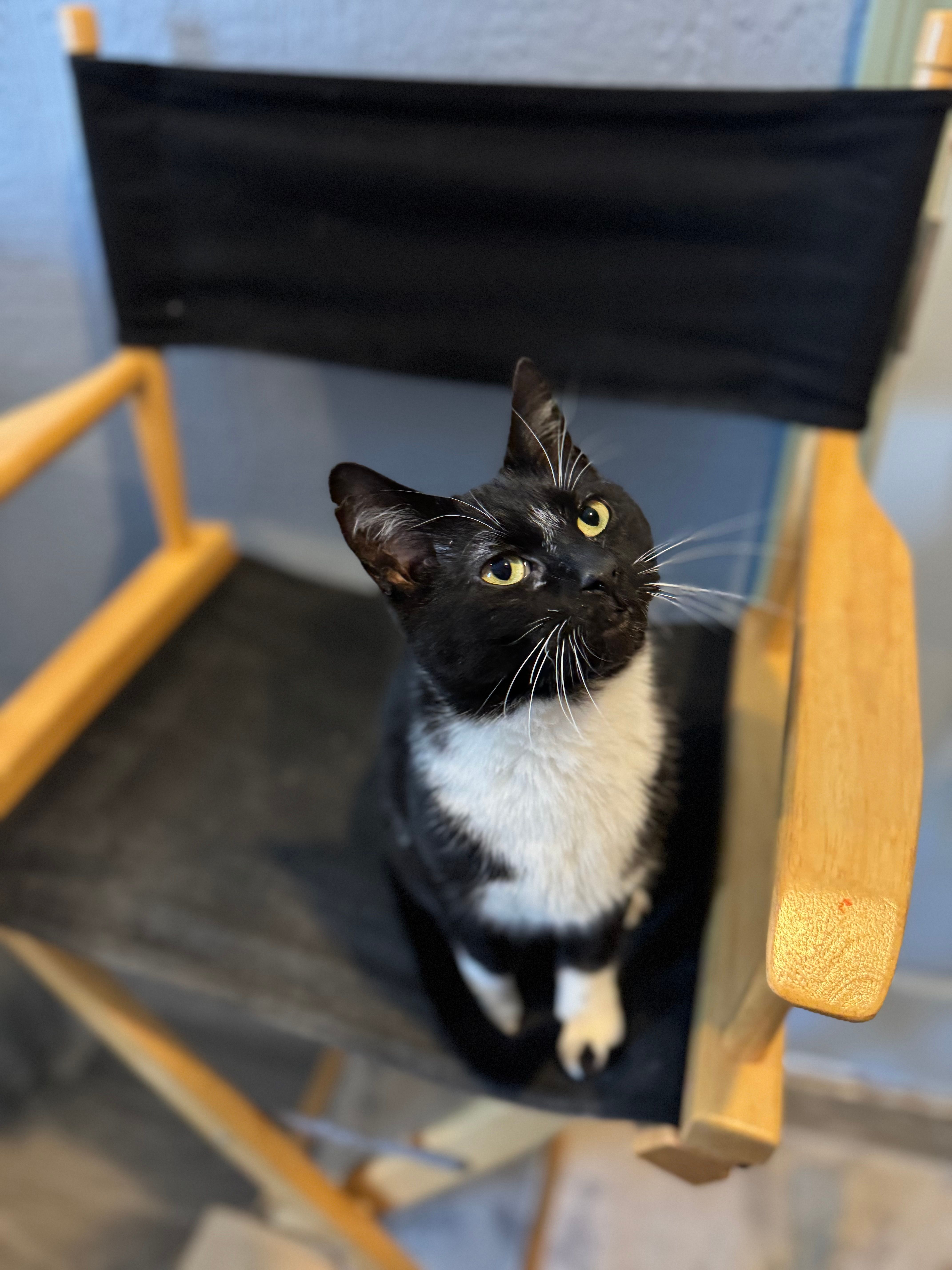  for Sullivan Sanctuary of Maine in Brunswick, ME