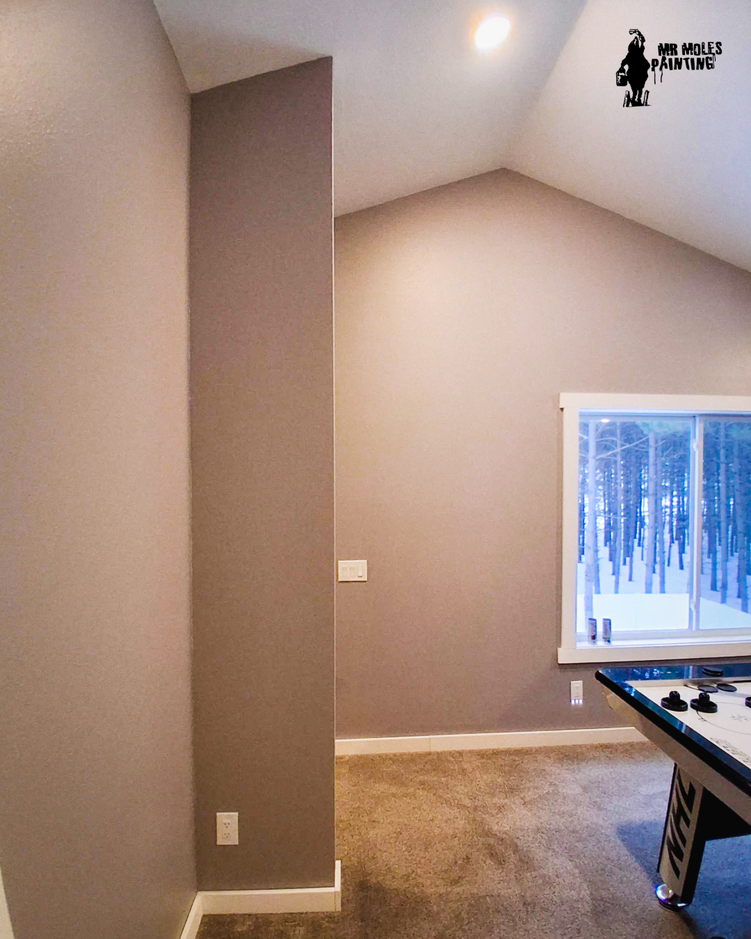 Interior Painting for Mr. Mole's Painting in Bemidji, MN