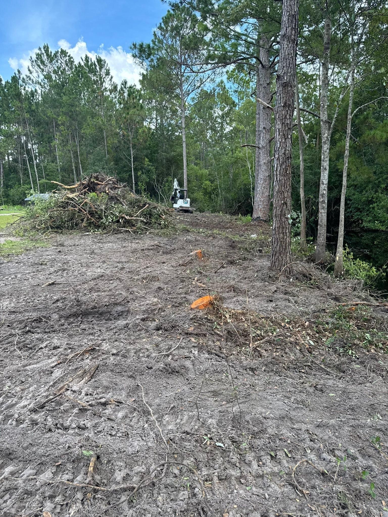  for DLC Land Clearing in Glen Saint Mary, FL