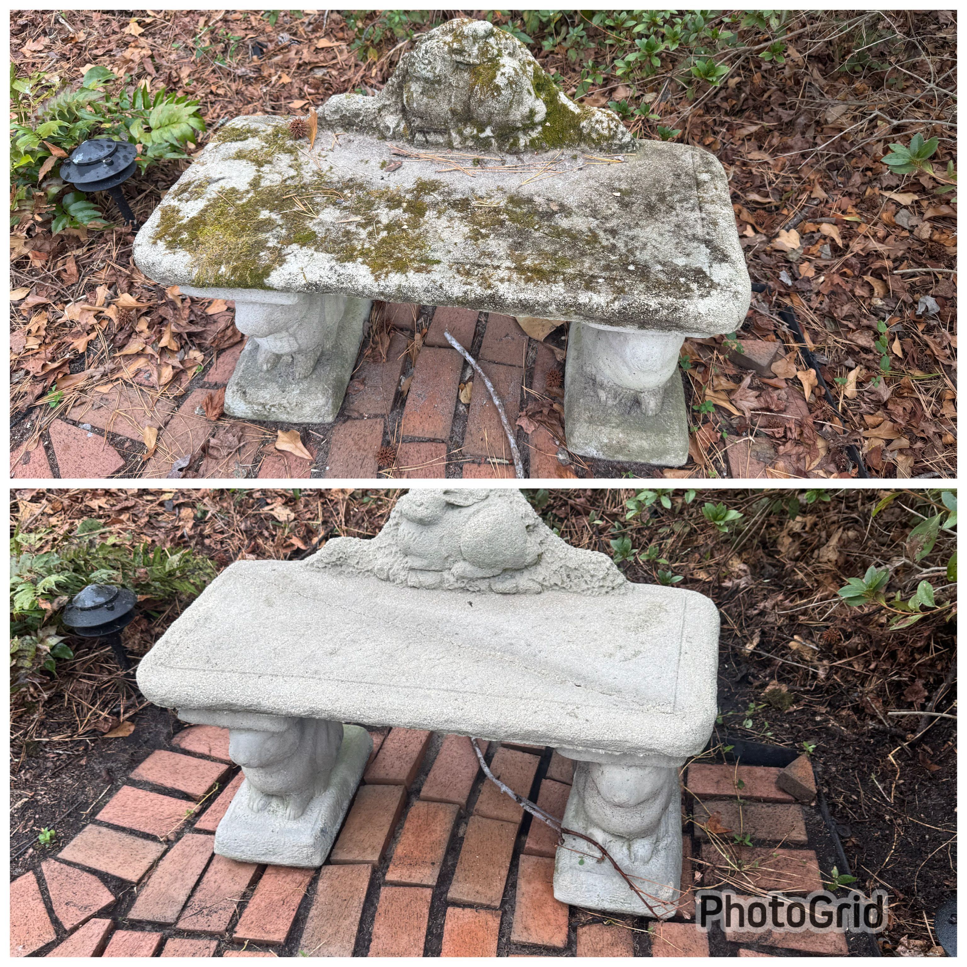  for Port City Power Washing in Wilmington, NC