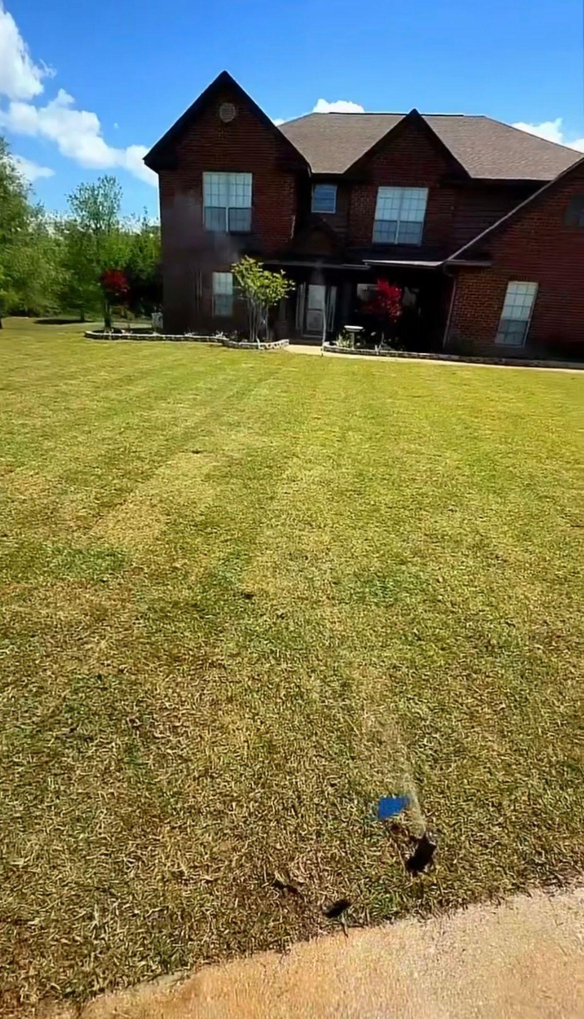 Sod installation! for Enhanced Landscape in Daphne, AL