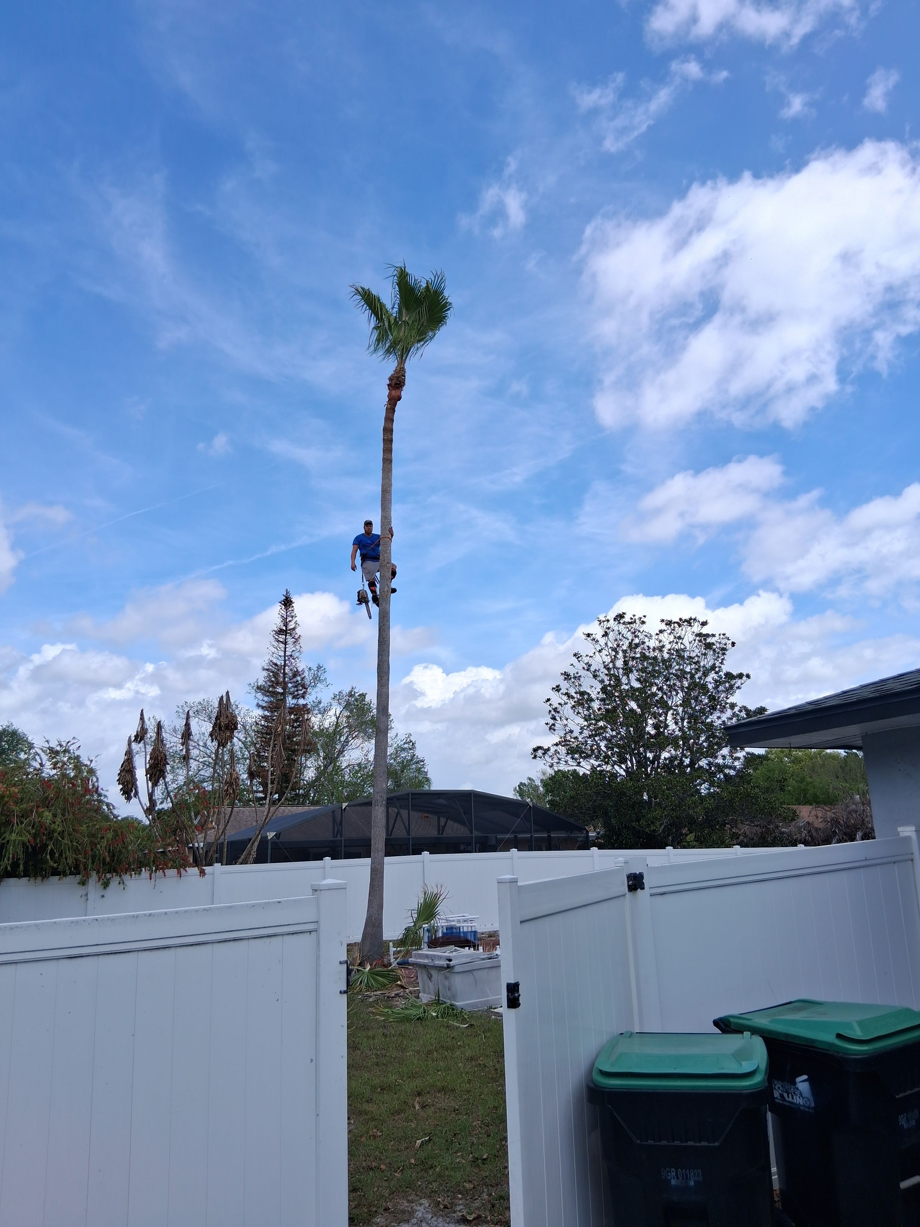  for A Southern Style Tree Service in Orlando, FL