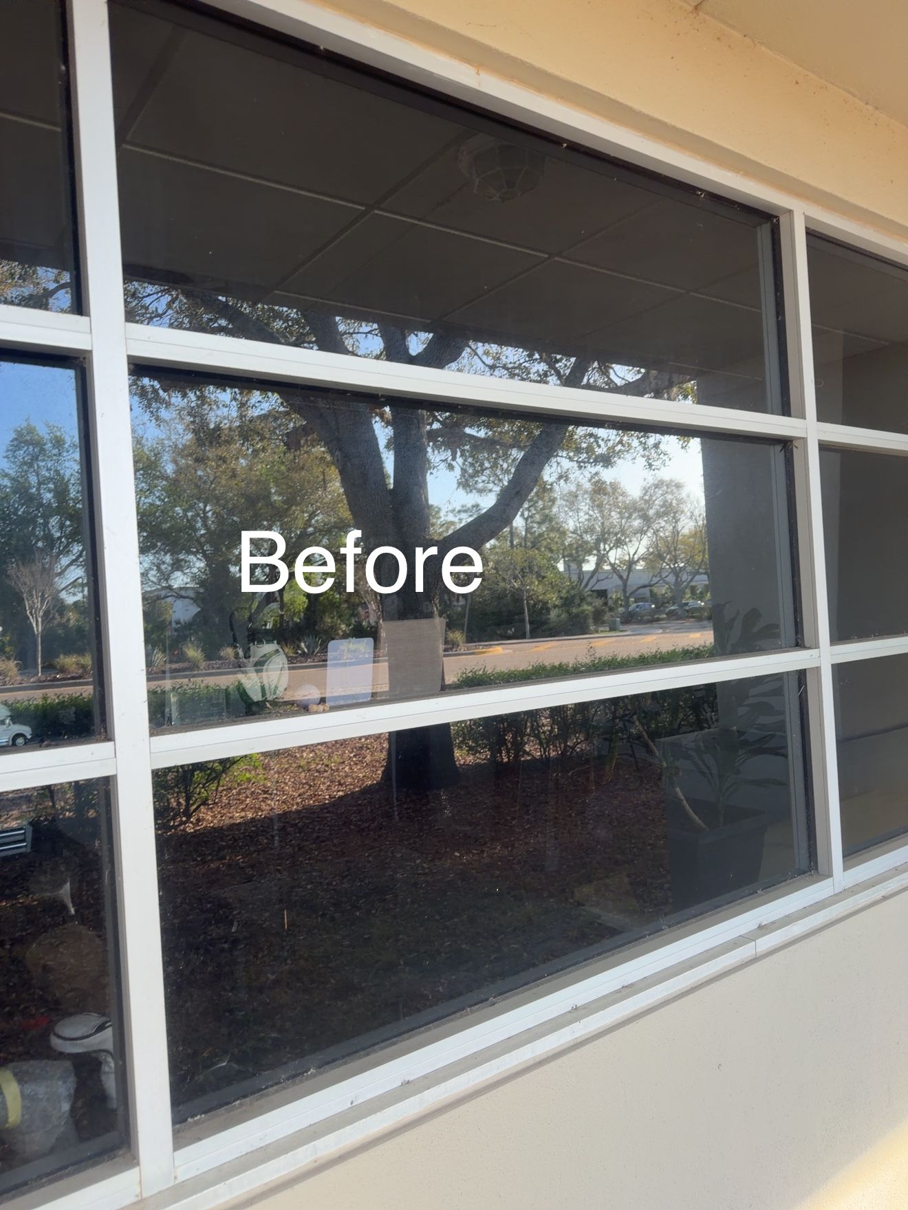  for My Window Guys in Venice, FL