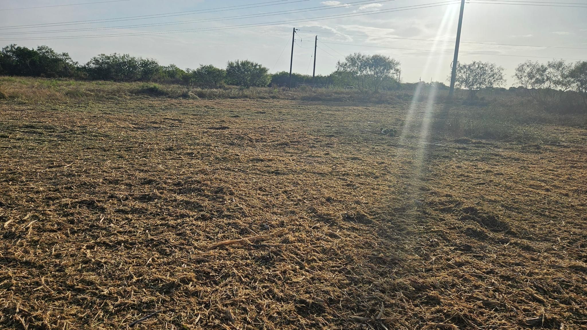 All Photos for Hernandez Land Clearing Services in Alice, TX