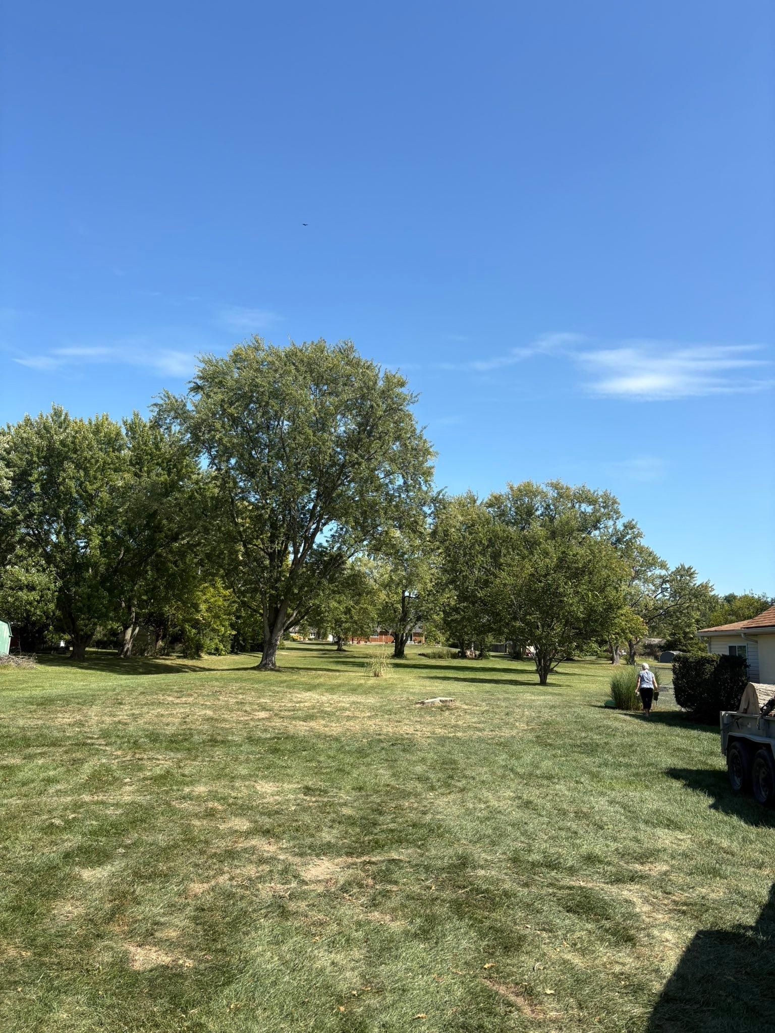  for Dig-It Tree Company in , 