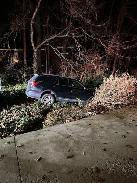  for Piedmont Lawn and Landscaping in Lexington, NC