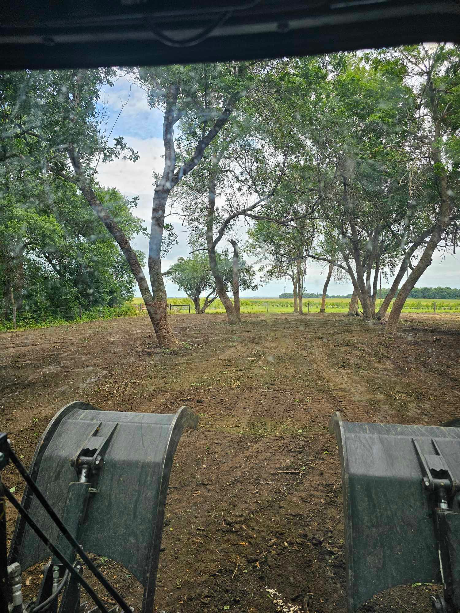  for Tree Tech in Luverne, MN