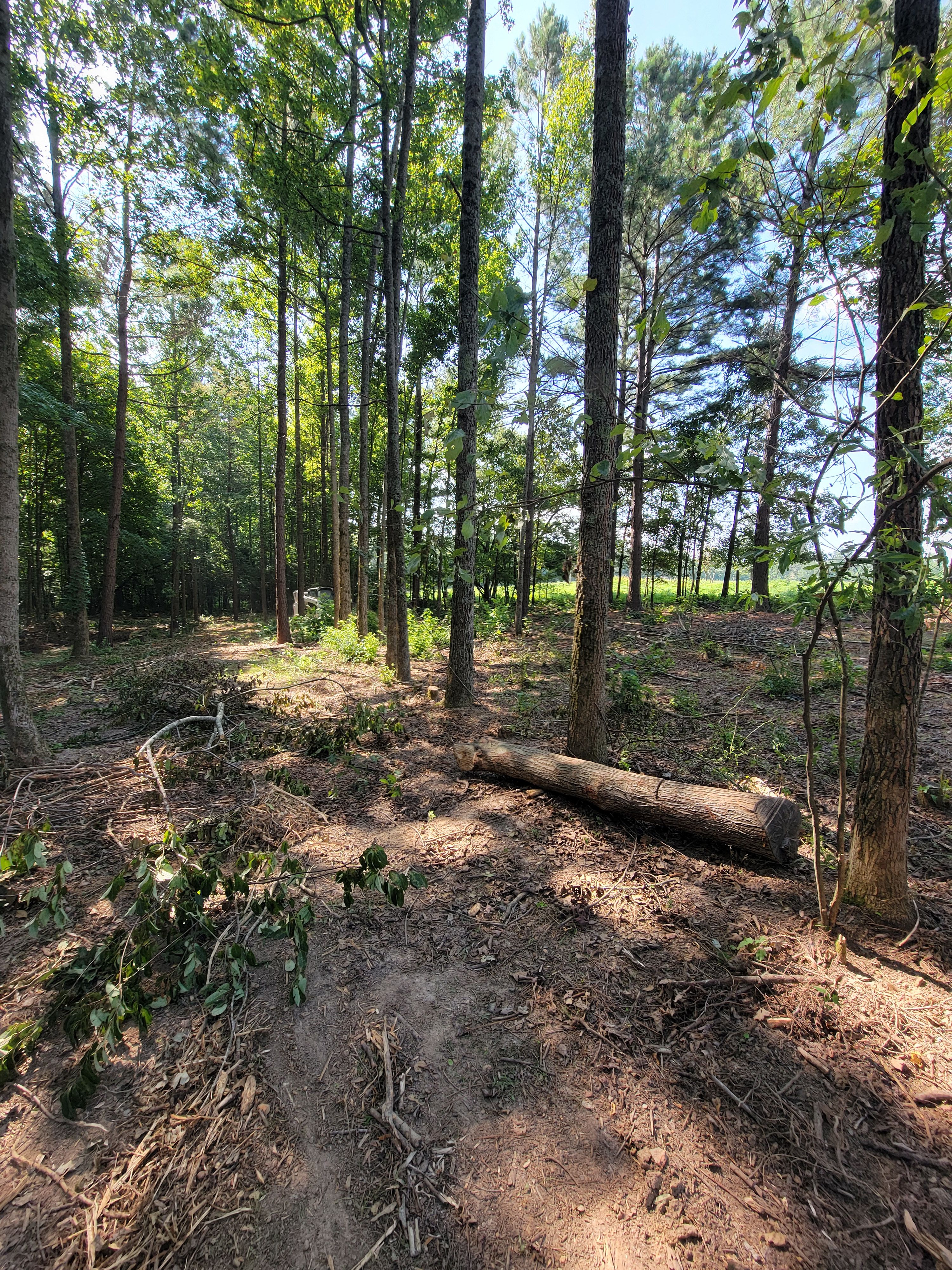  for Z's Land Management & Forestry Mulching in Smithville, TN