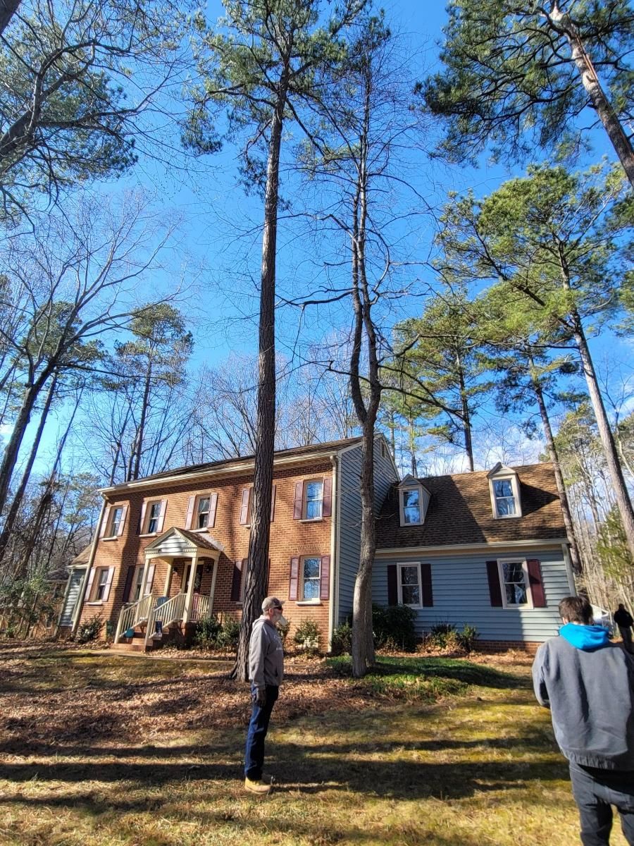  for Integrity Tree and Landscaping in Lynchburg, VA