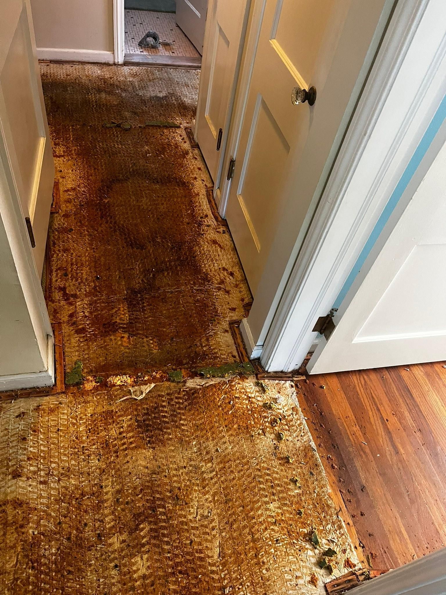 All Photos for Kozlowski’s Hardwood Floor Refinishing in Flat Rock, Michigan