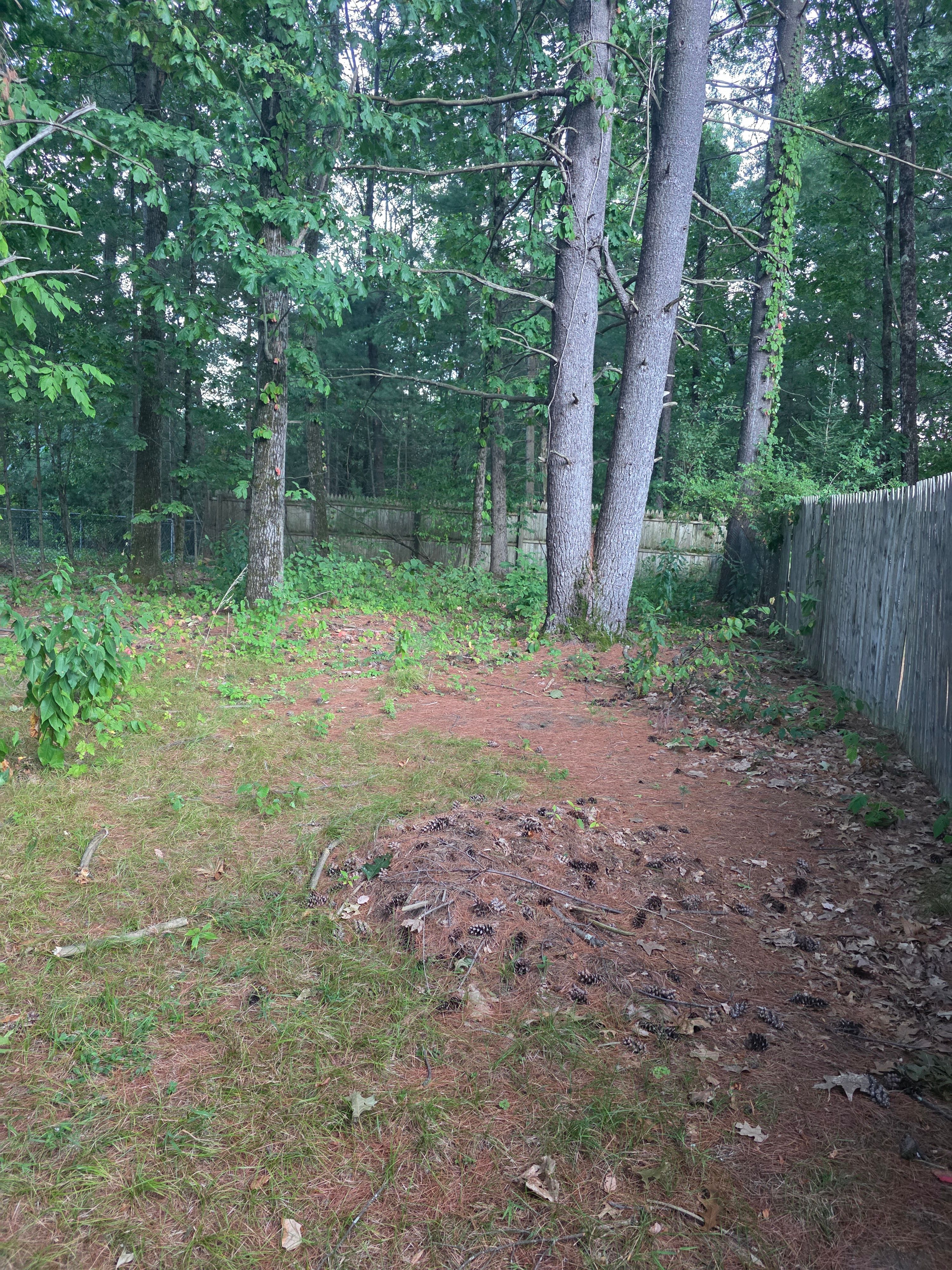  for Sweet Scapes in Ballston Spa, NY