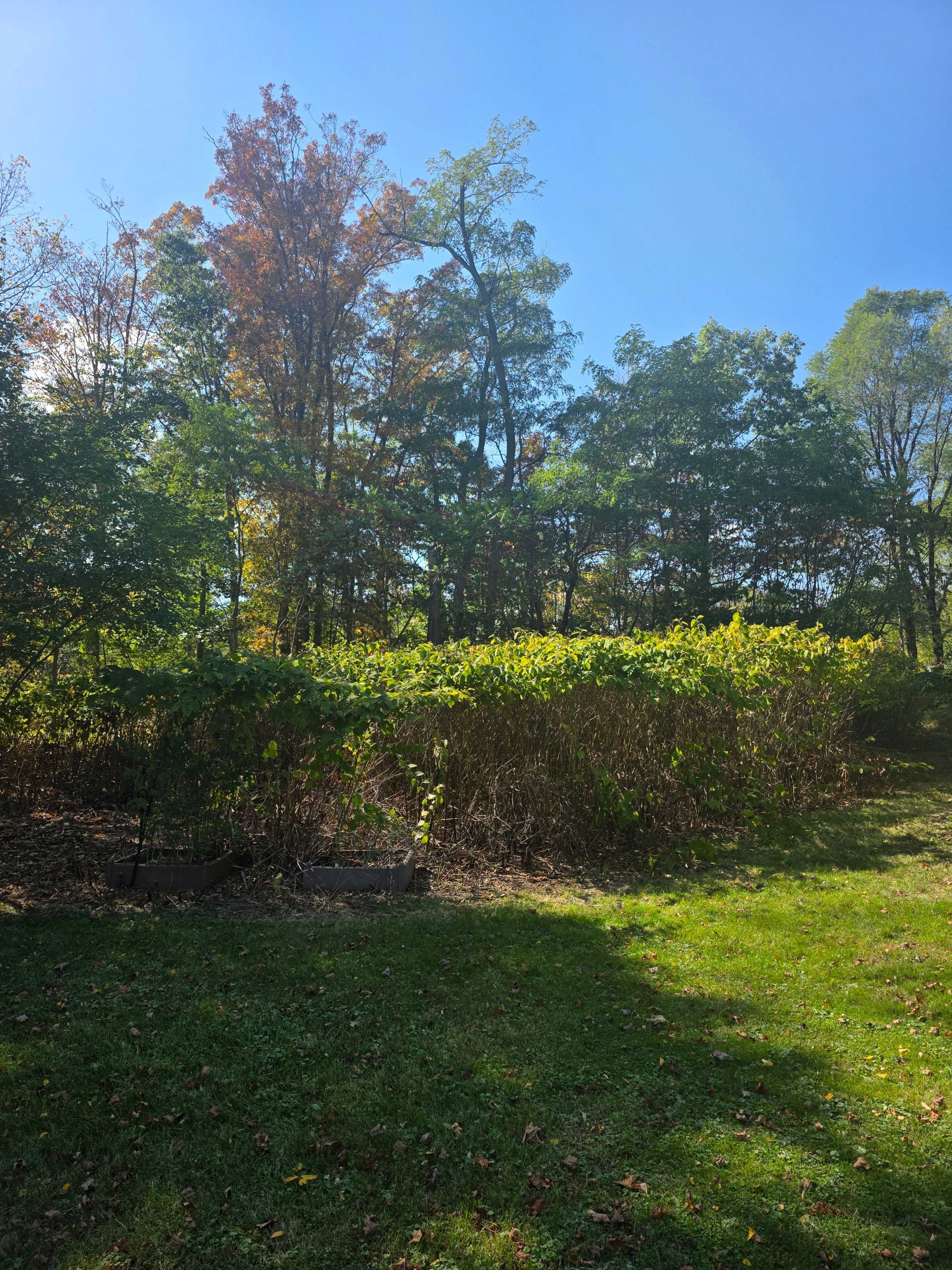  for Sweet Scapes in Ballston Spa, NY