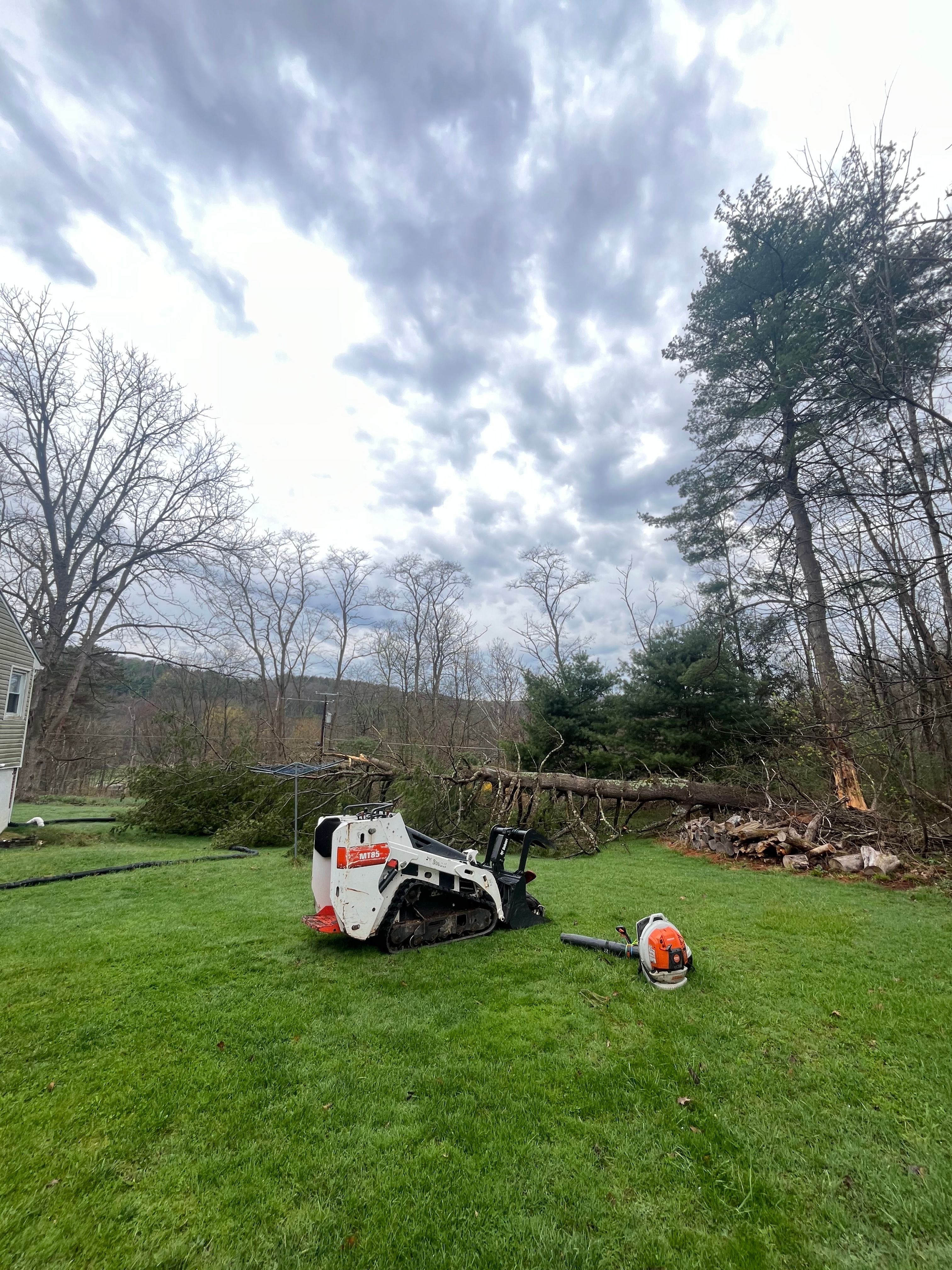 All Photos for Licensed to Cut Tree Service in Athens, PA