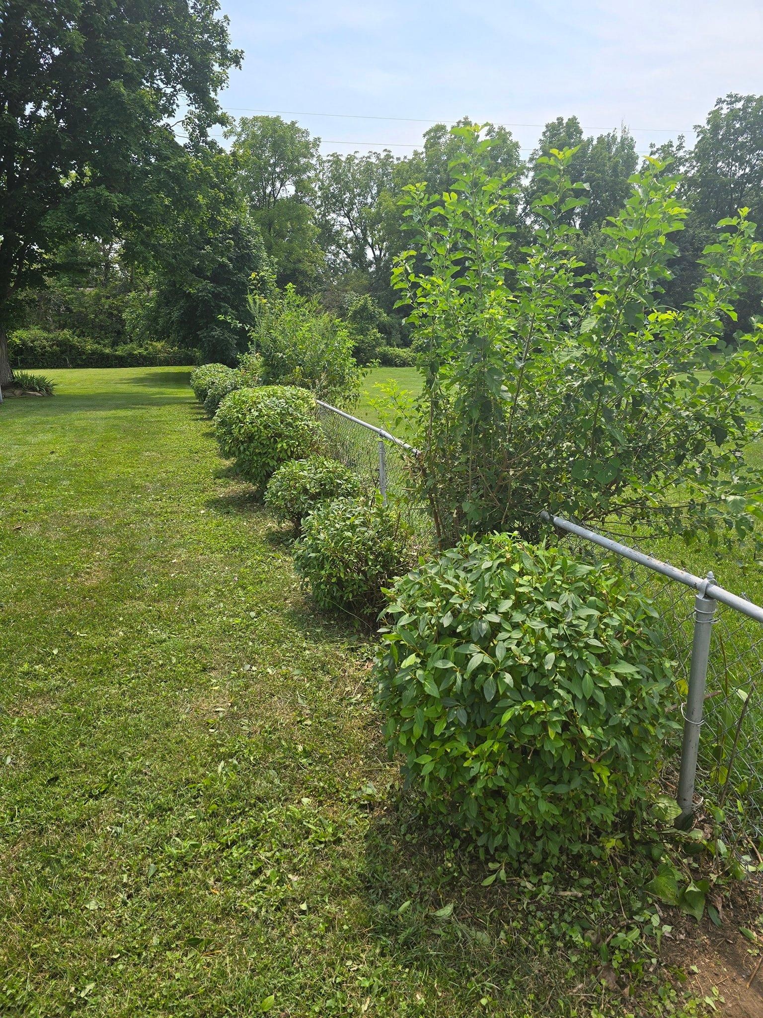 All Photos for Tingley's Green Land Services in Springfield, Ohio