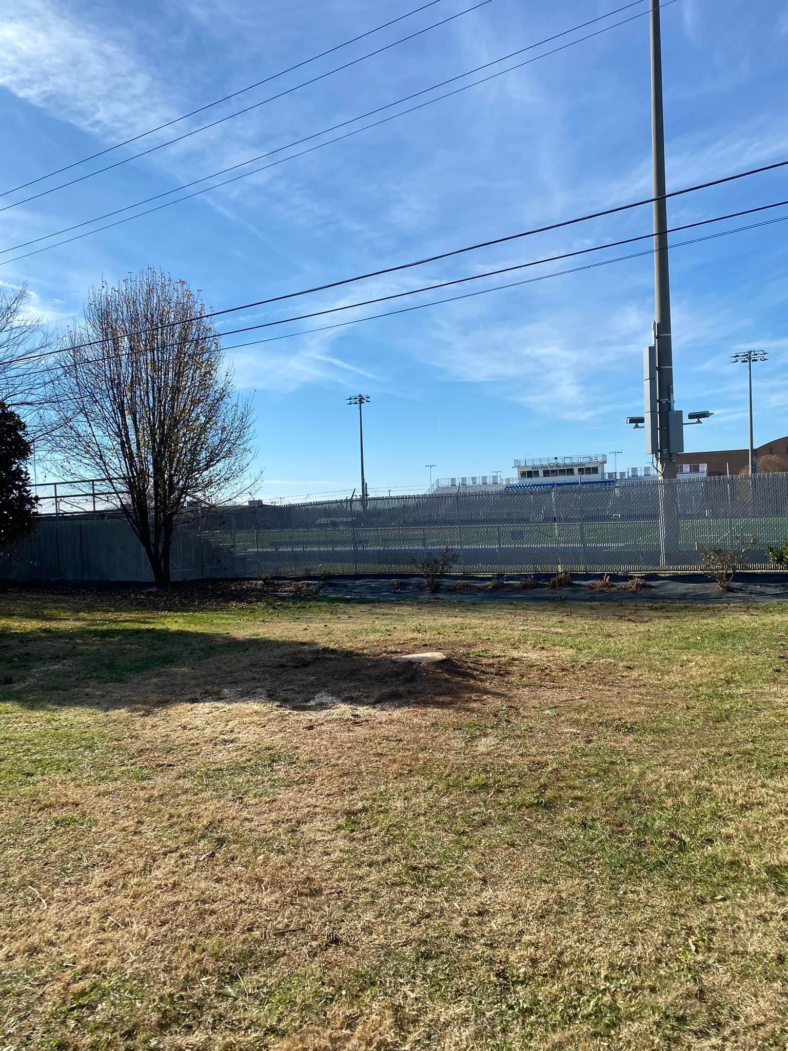 Tree Removal for Atwood’s Tree Care in Liberty,  KY