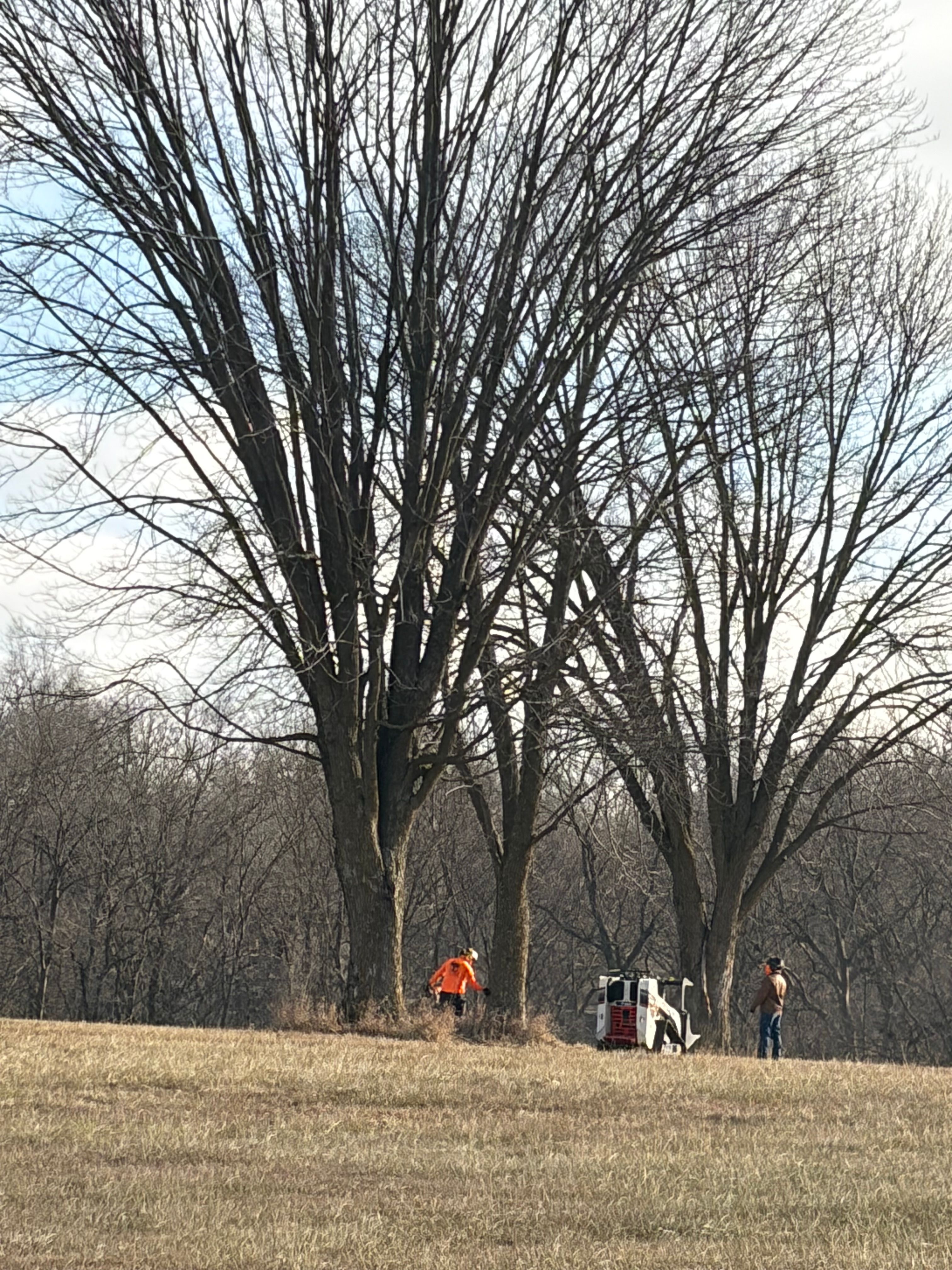 All Photos for Cross Family Tree Service in Kearney, MO