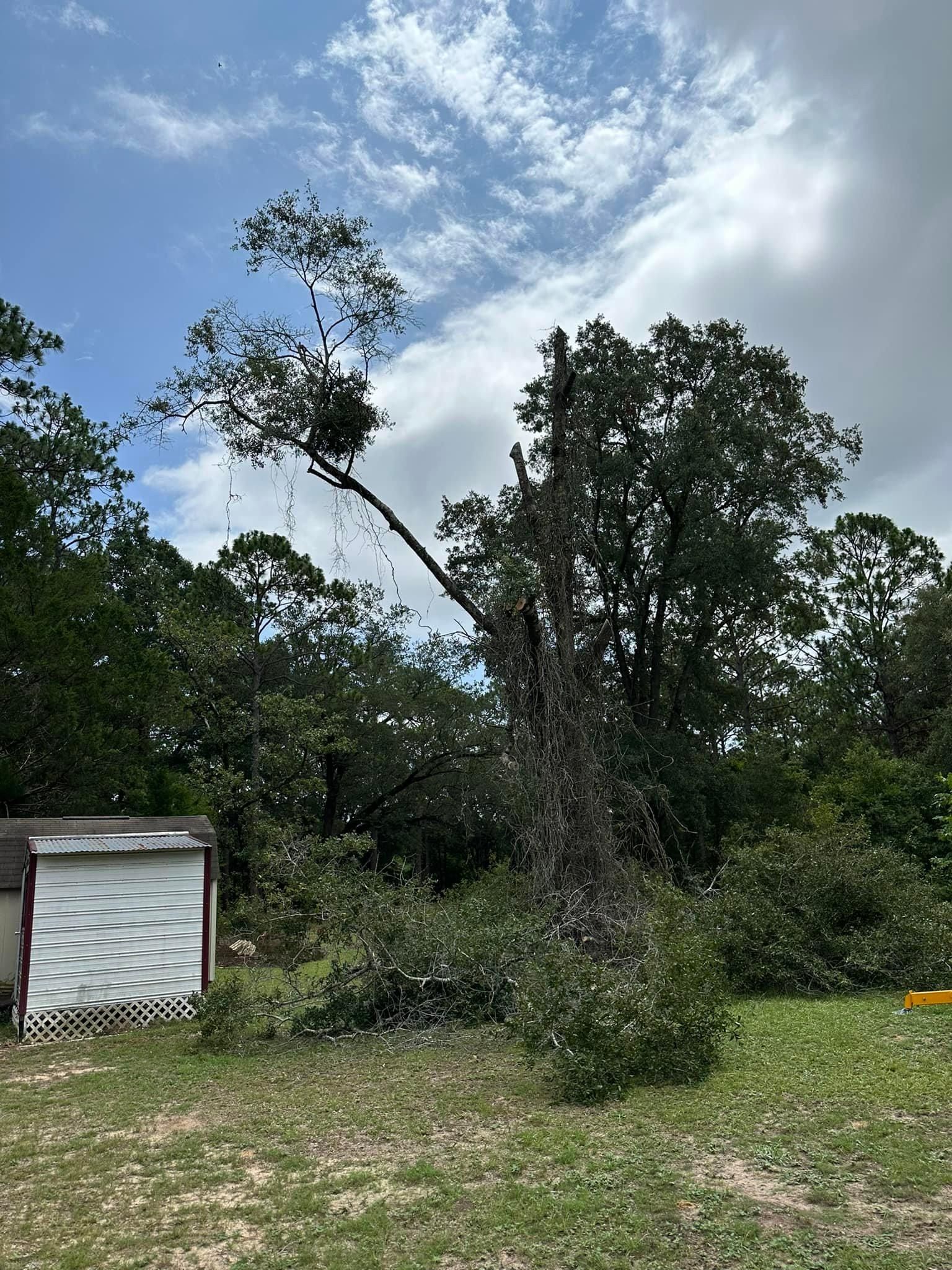  for White’s Land Maintenance in Milton,, FL